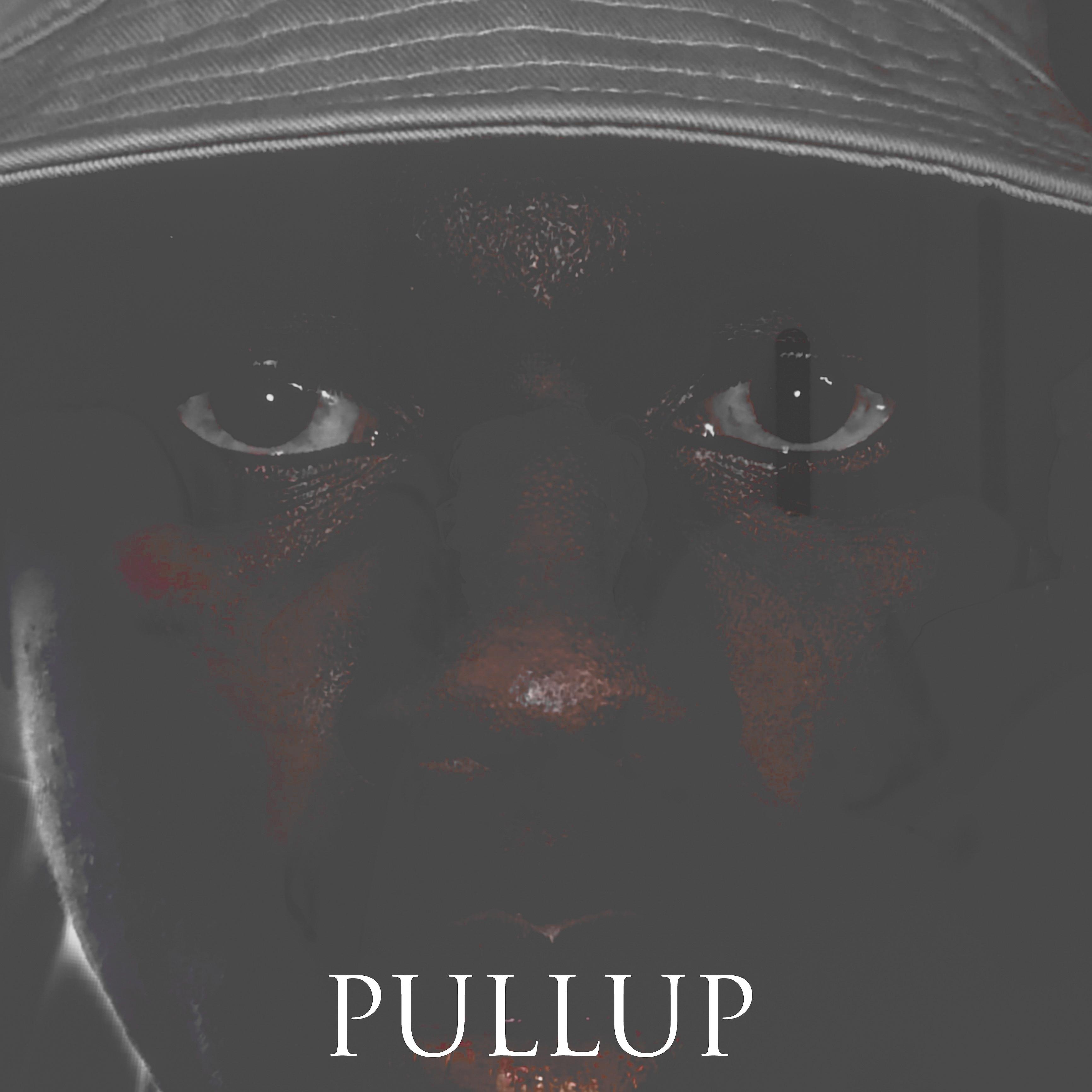 Постер альбома Pullup