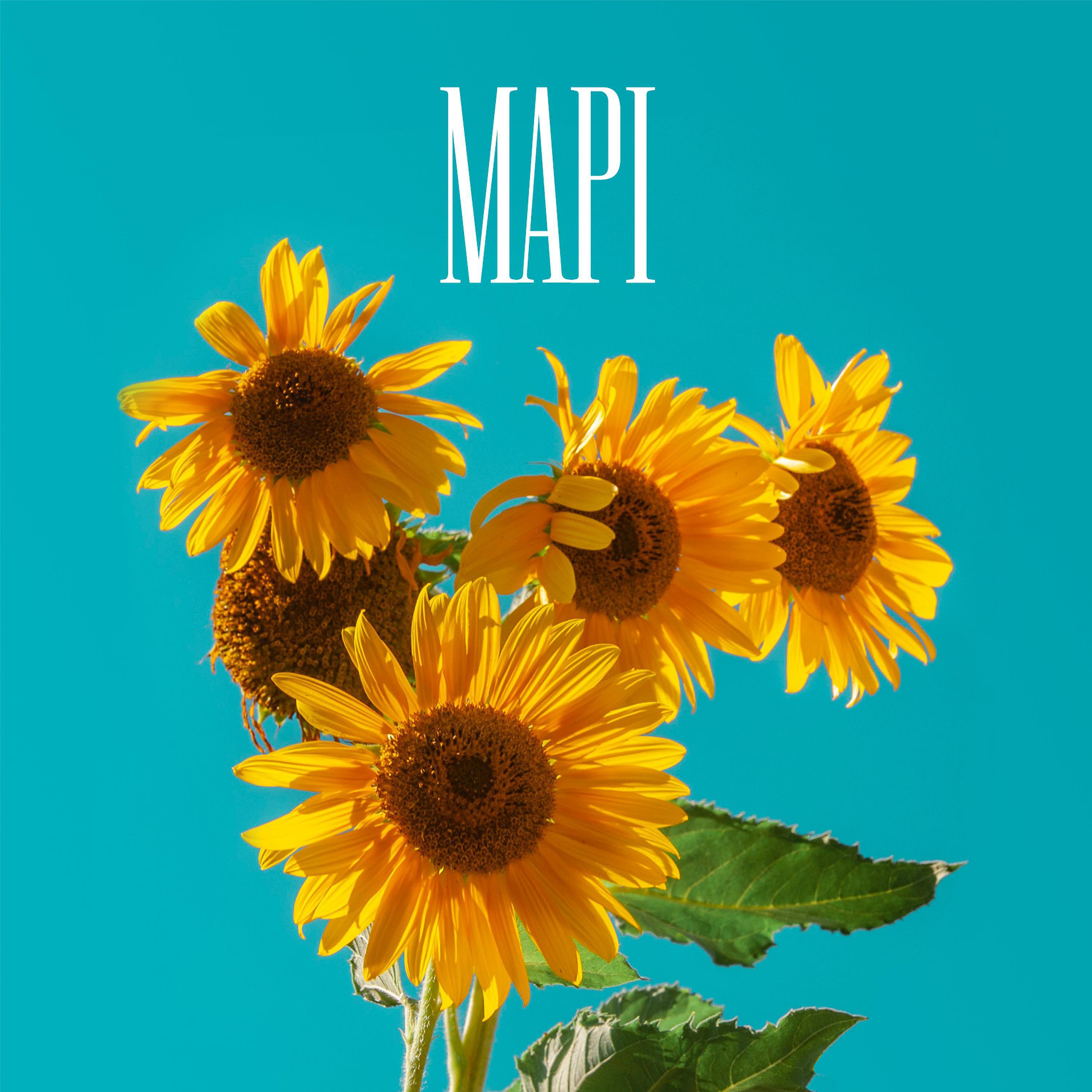 Постер альбома Марі