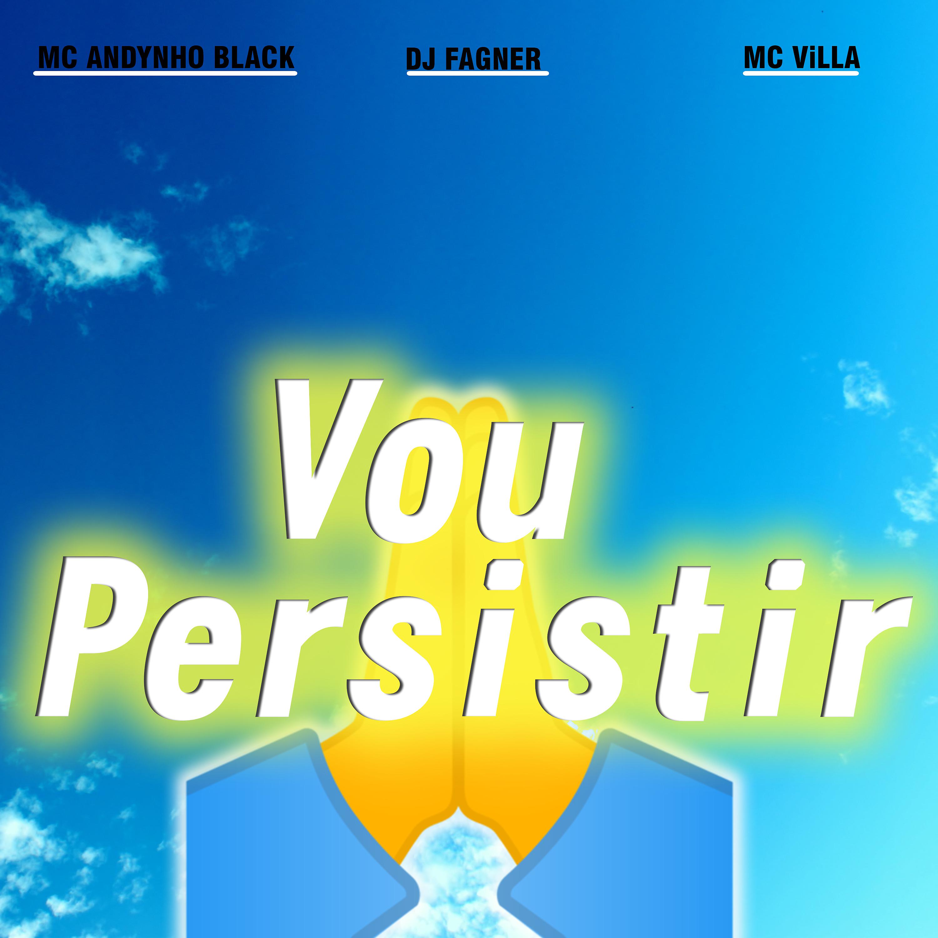 Постер альбома Vou Persistir