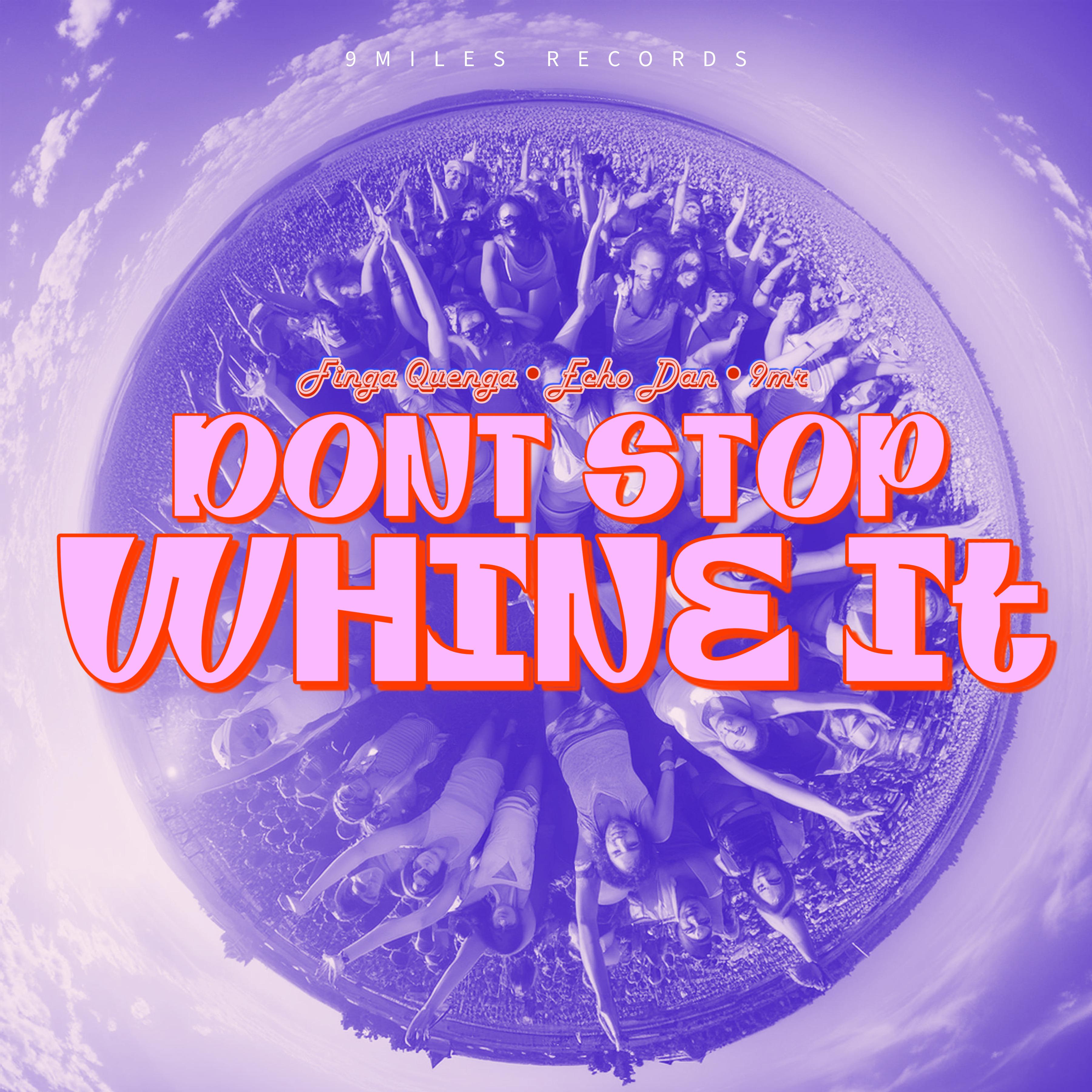 Постер альбома Dont Stop Whine It