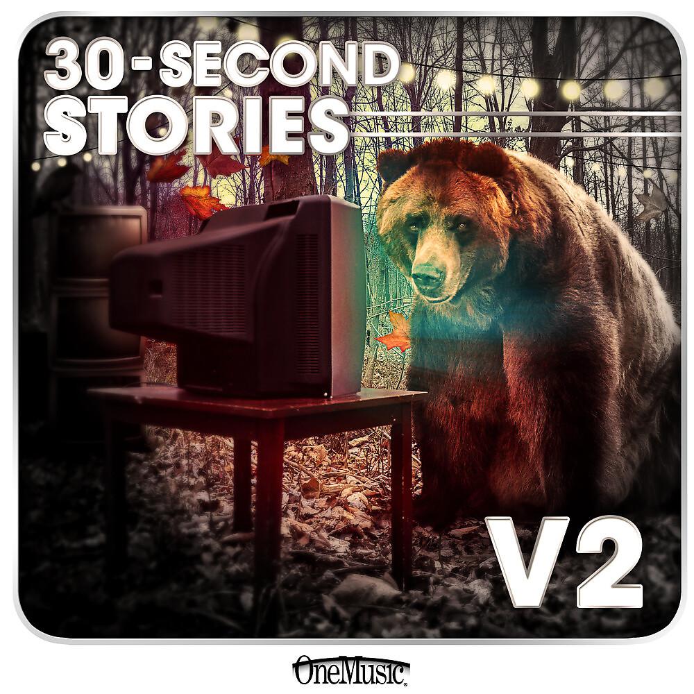 Постер альбома 30-Second Stories, Vol. 2