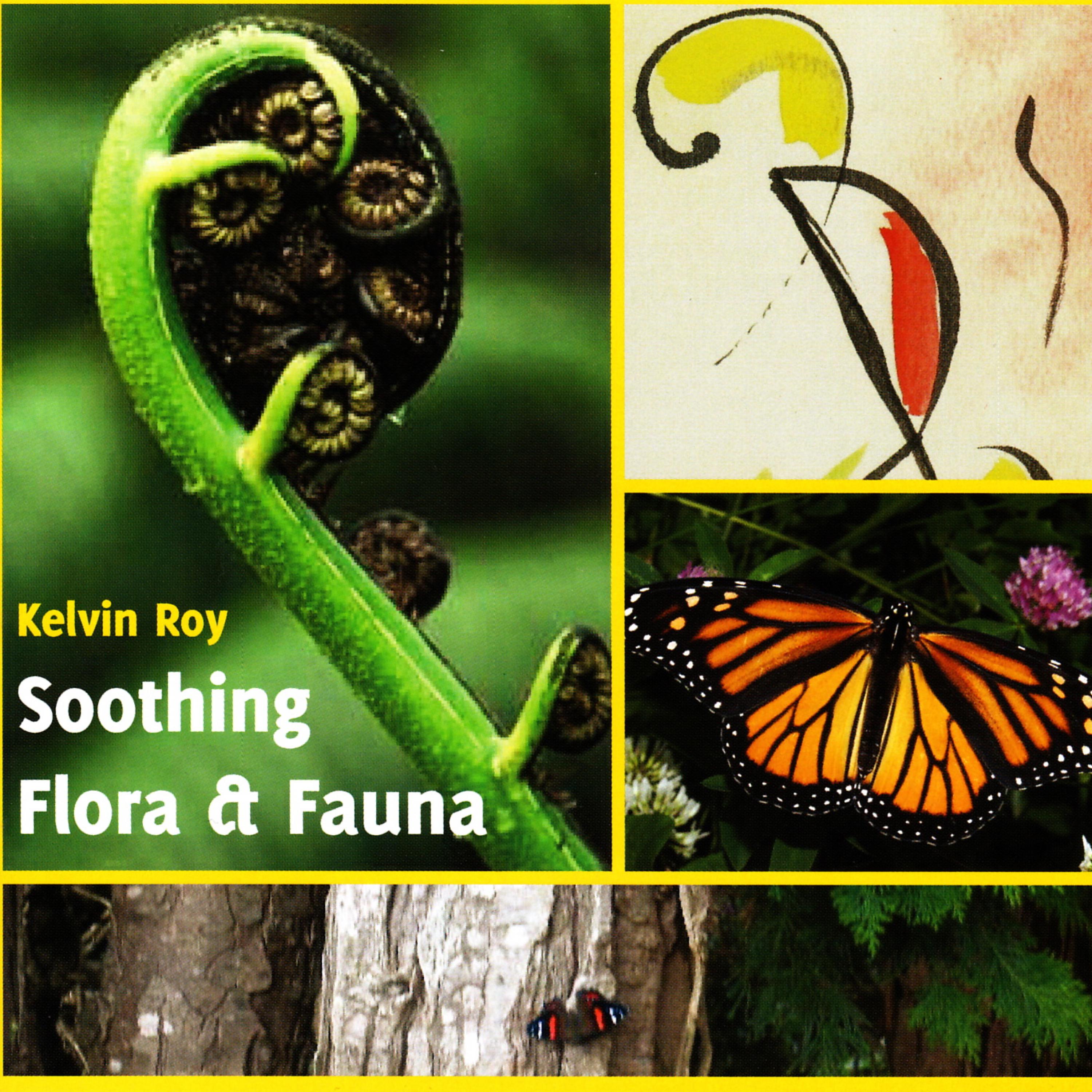 Постер альбома Soothing Flora & Fauna