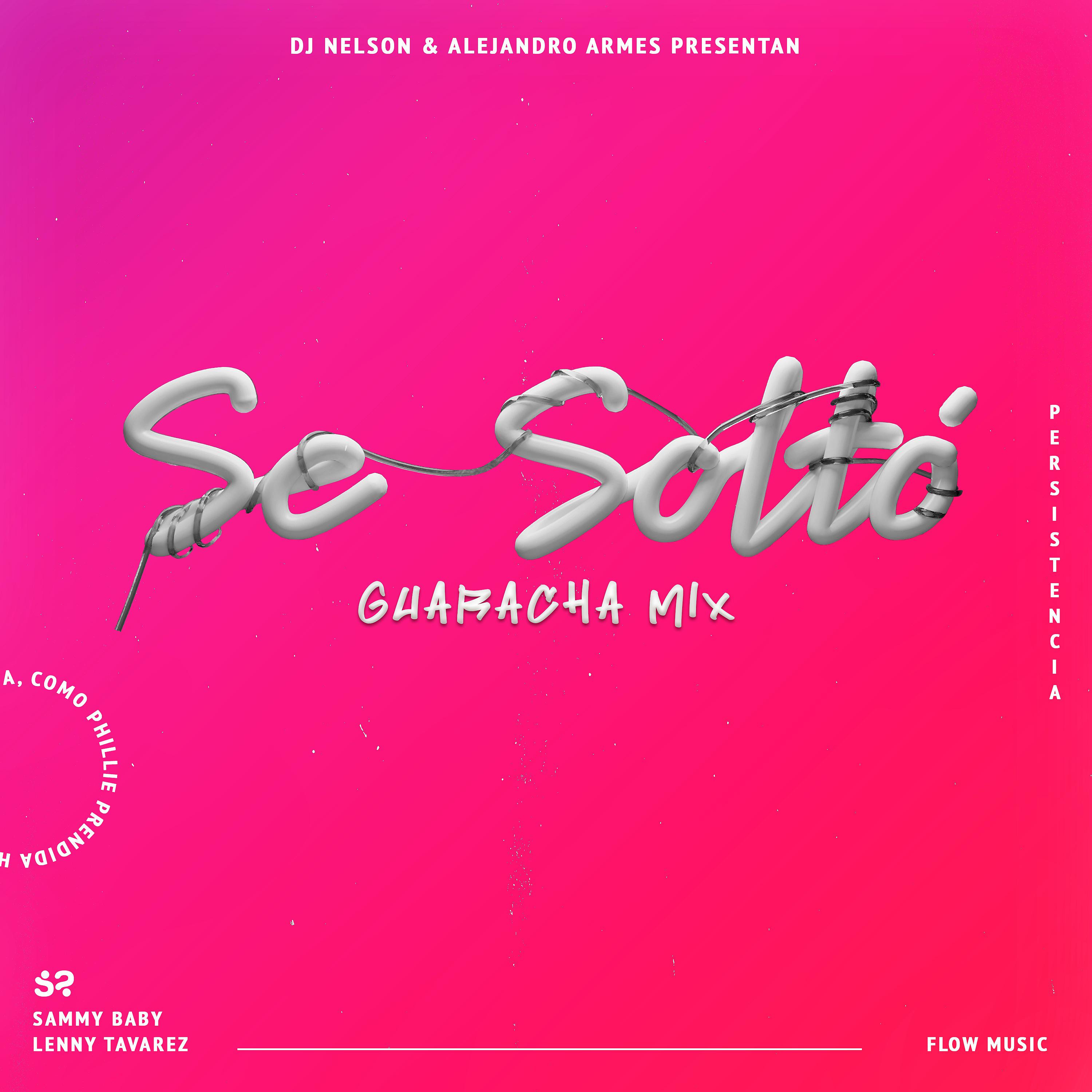Постер альбома Se Soltó (Guaracha Remix) [feat. Alejandro Armes]