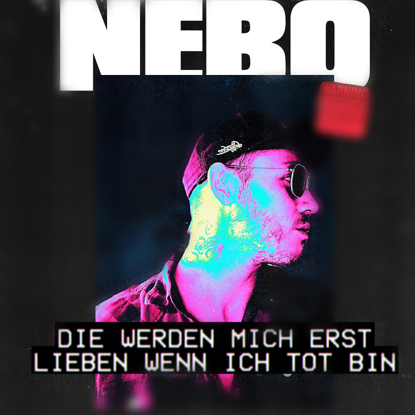 Постер альбома Die Werden Mich Erst Lieben Wenn Ich Tot Bin