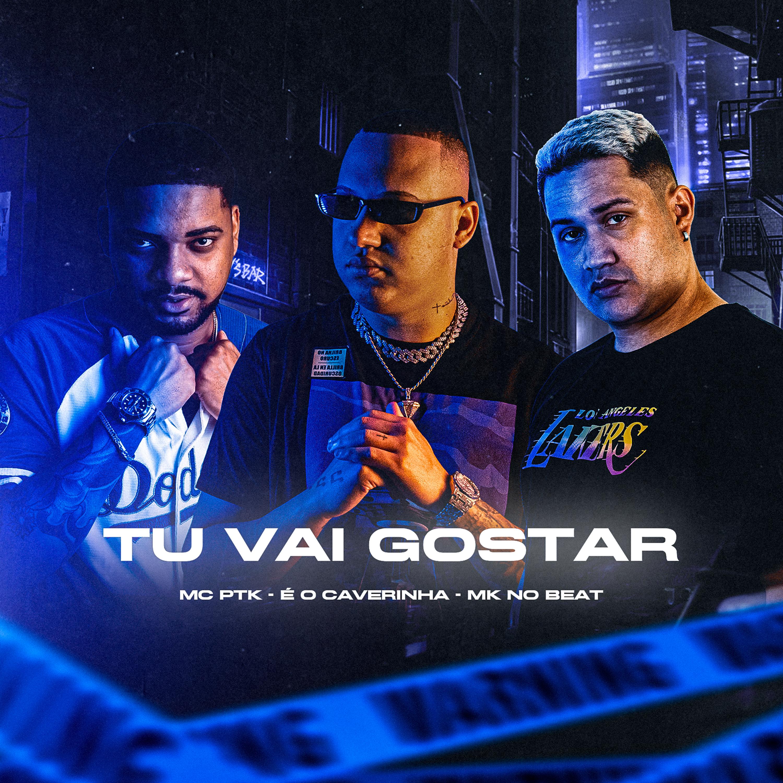 Постер альбома Tu Vai Gostar