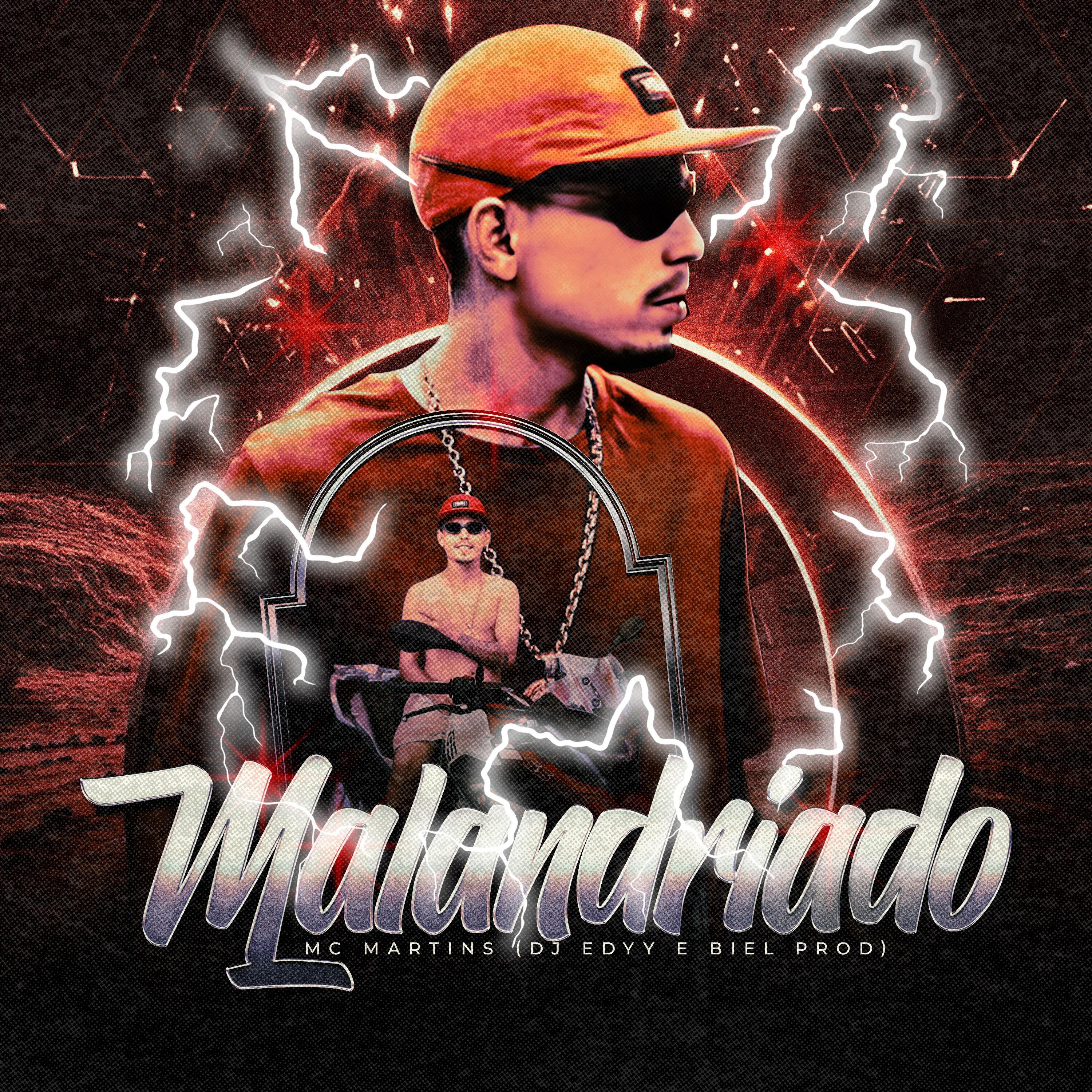 Постер альбома Malandriado