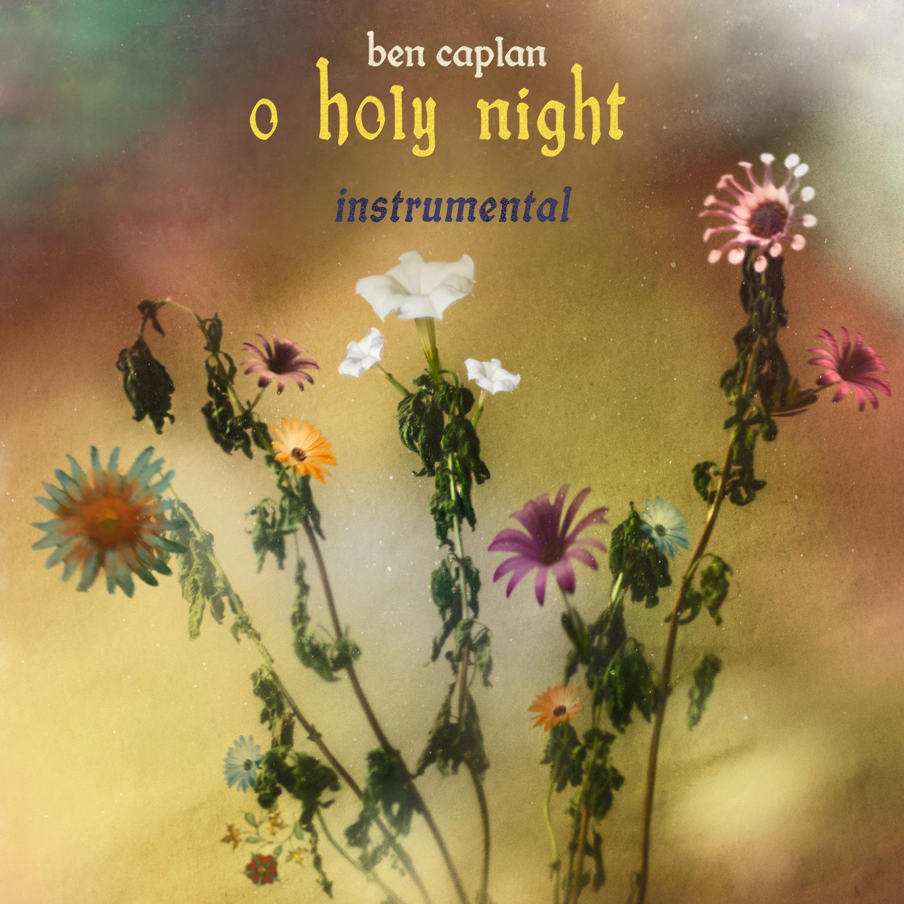 Постер альбома O Holy Night (Instrumental)