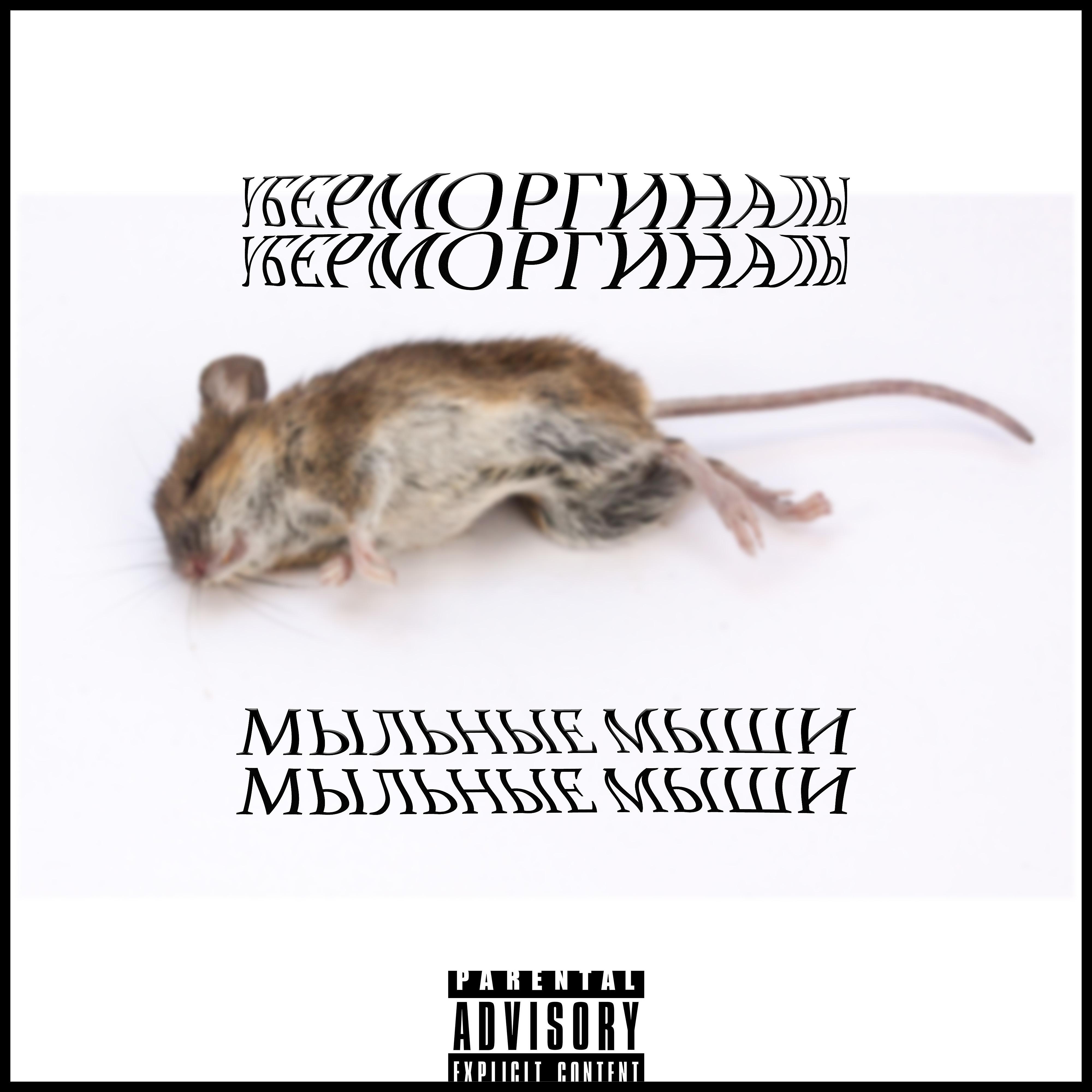 Постер альбома Мыльные мыши