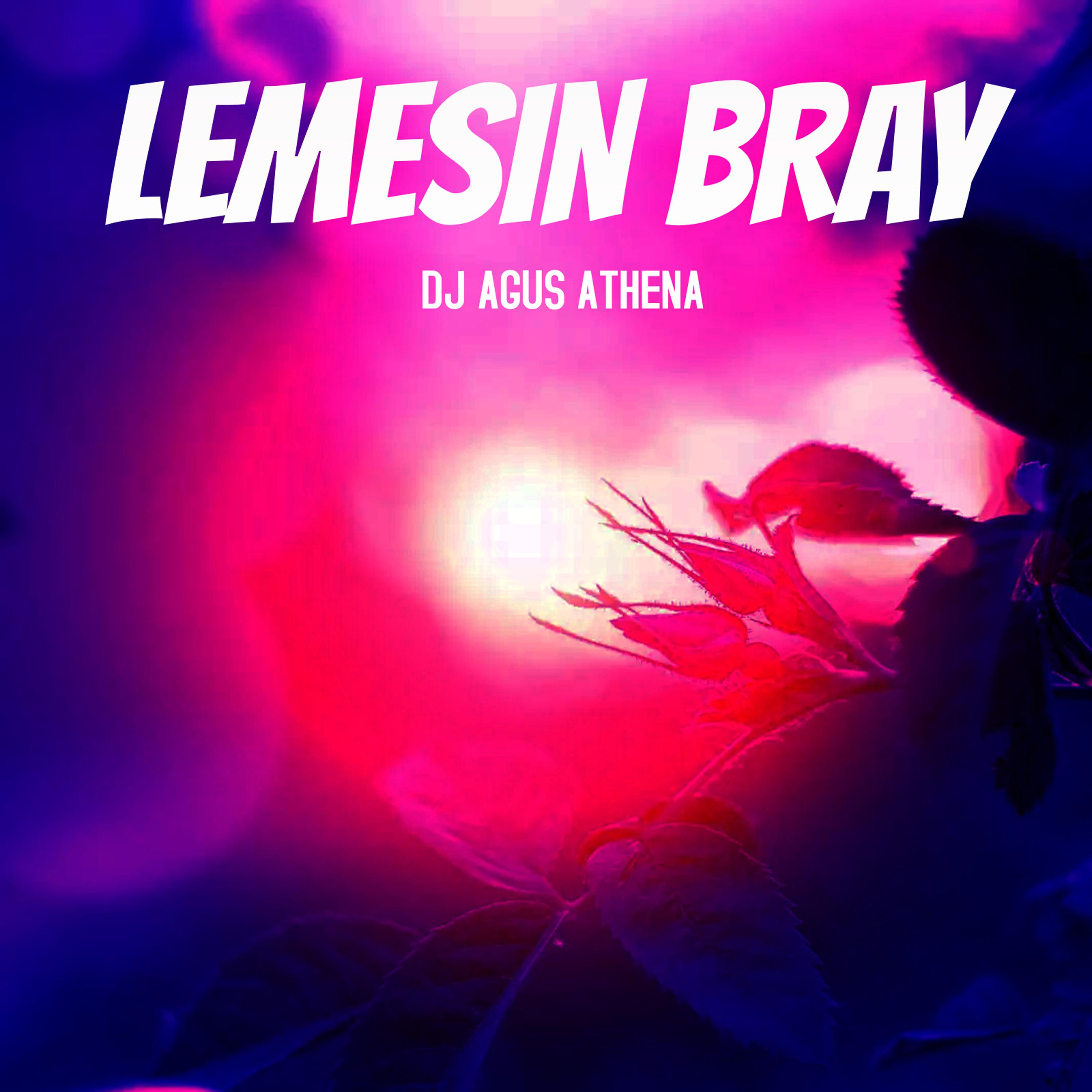Постер альбома Lemesin Bray