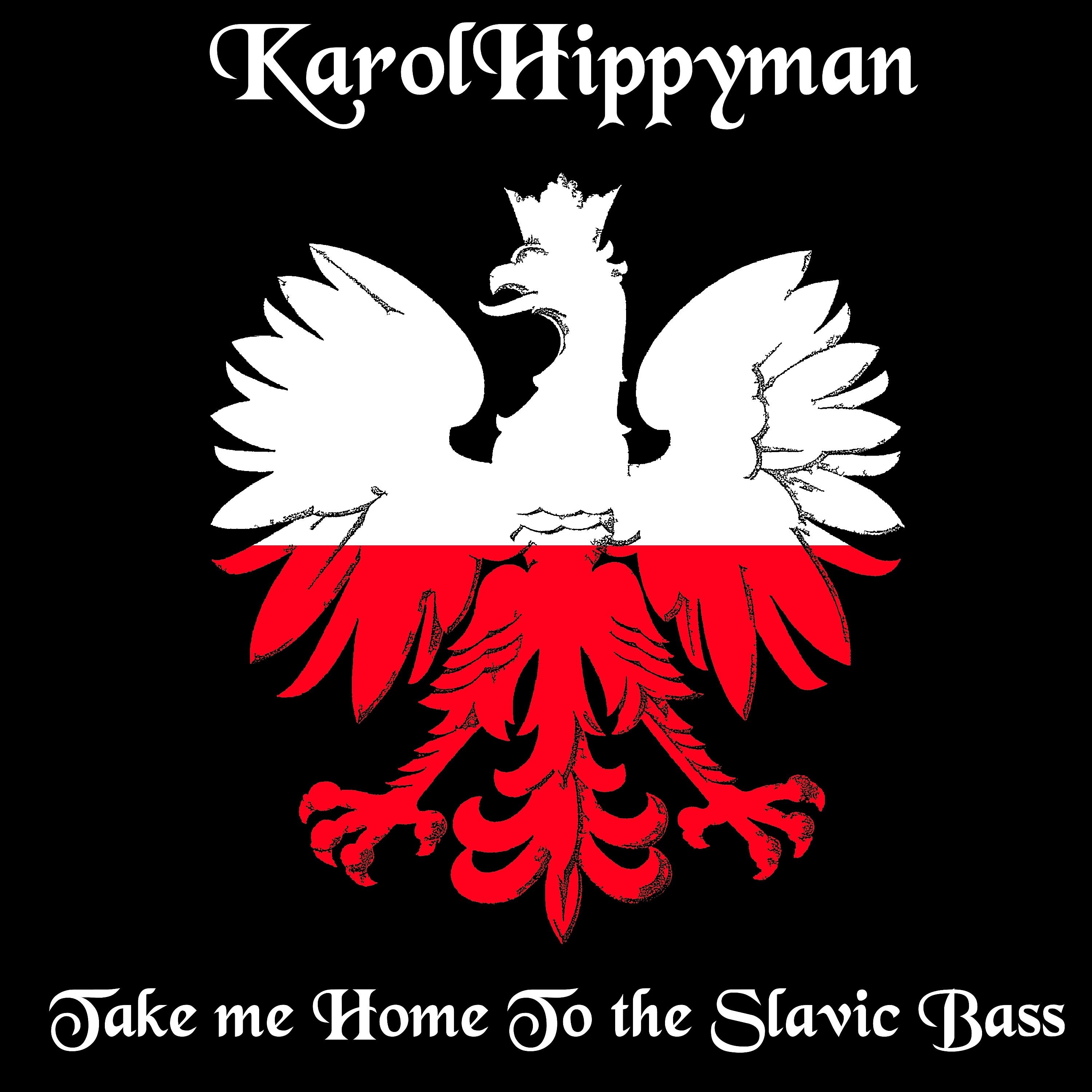Постер альбома Take Me Home to Slavic Bass