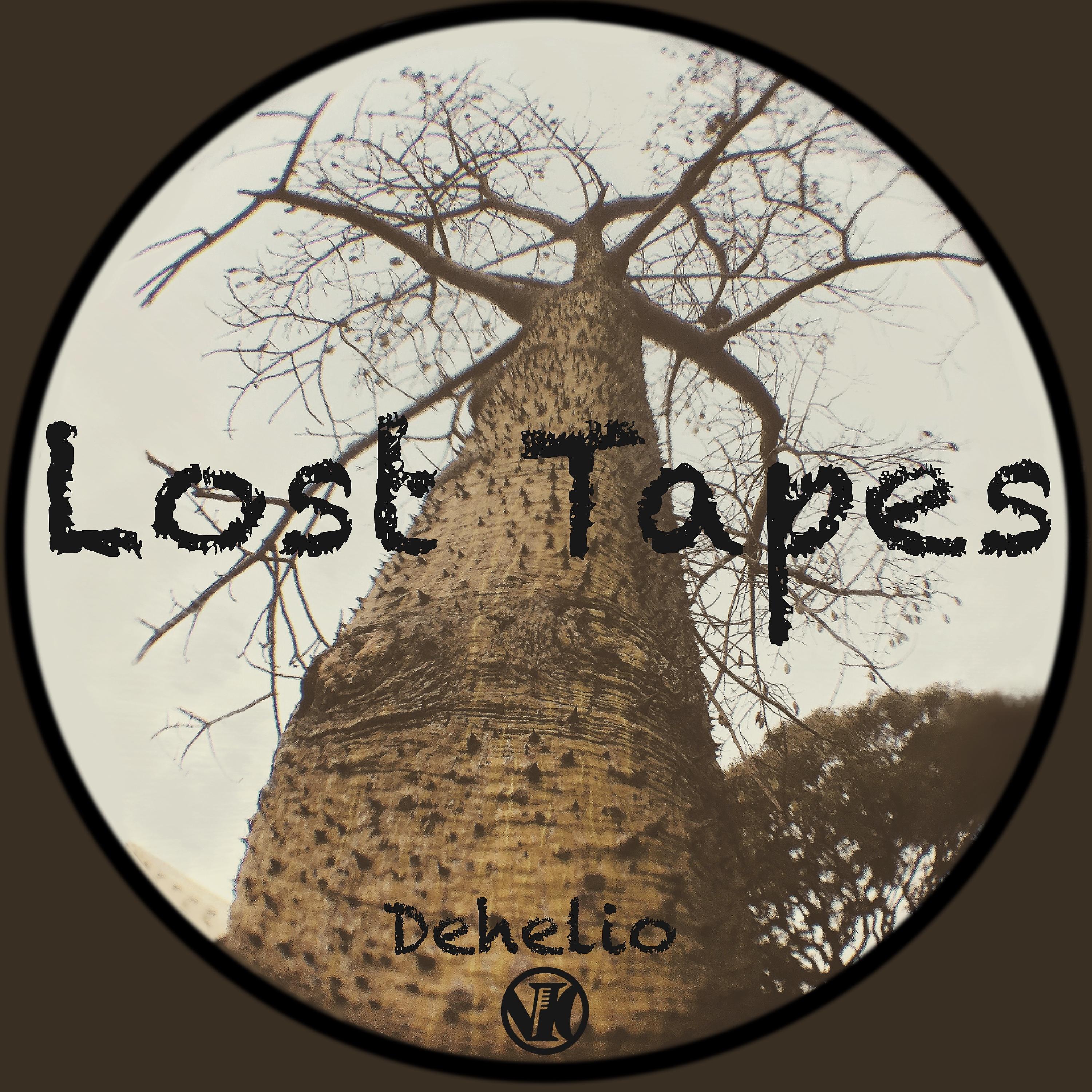 Постер альбома Lost Tapes