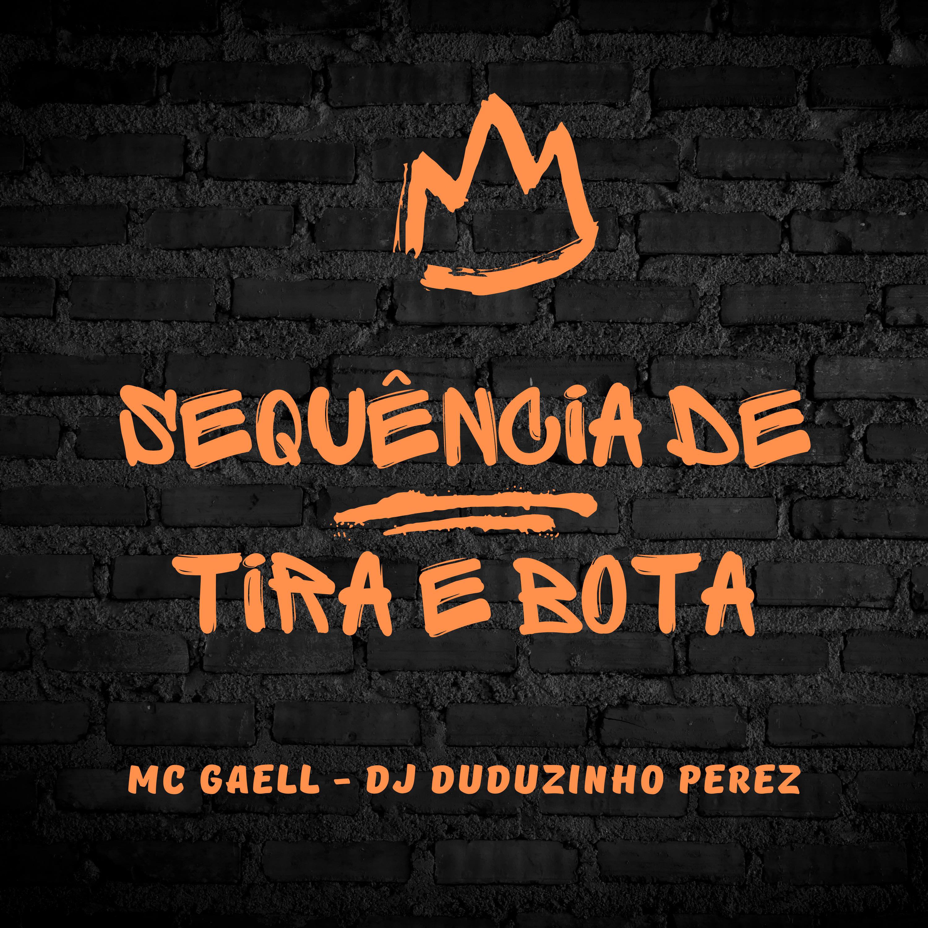 Постер альбома Sequência de Tira e Bota