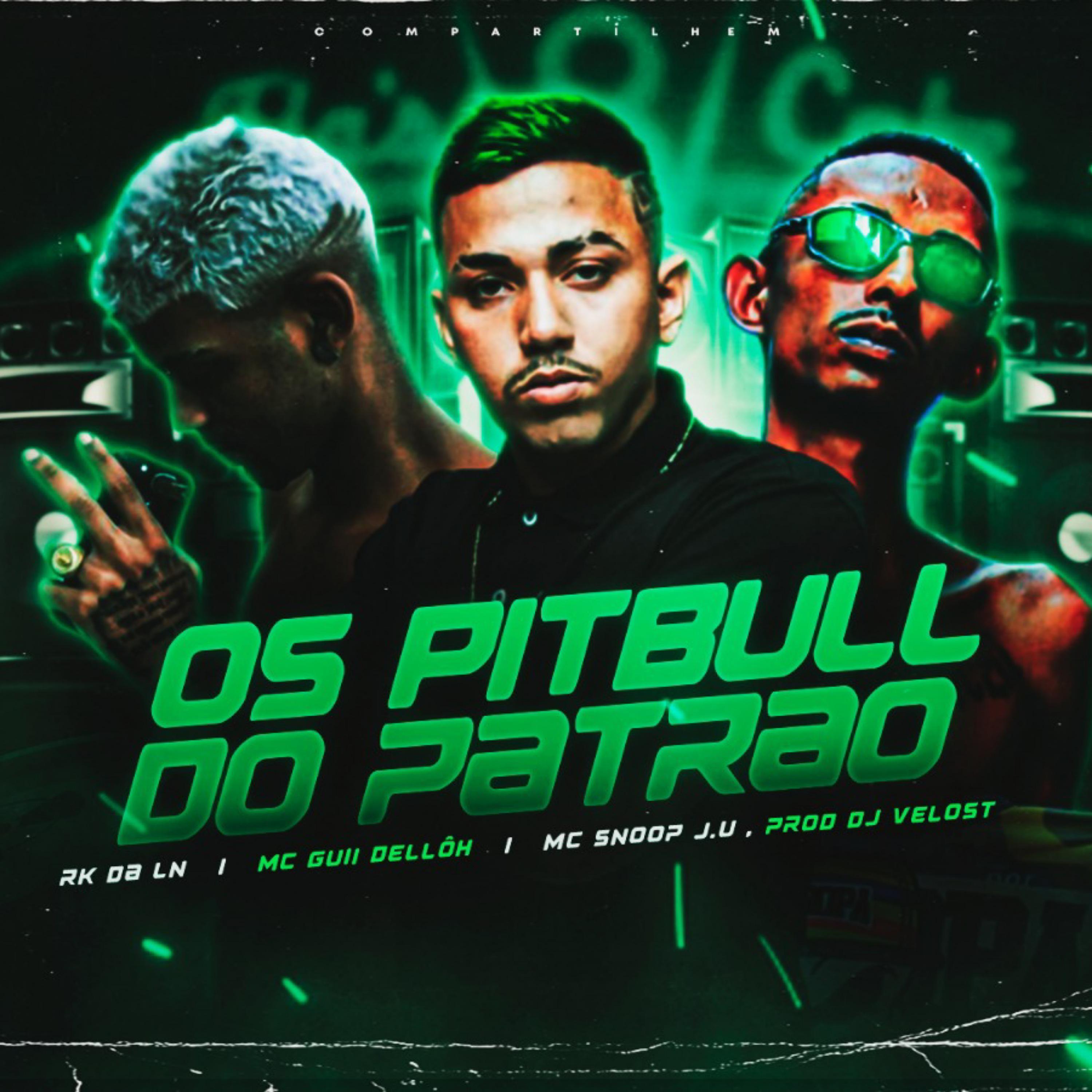 Постер альбома Os Pitbull do Patrão