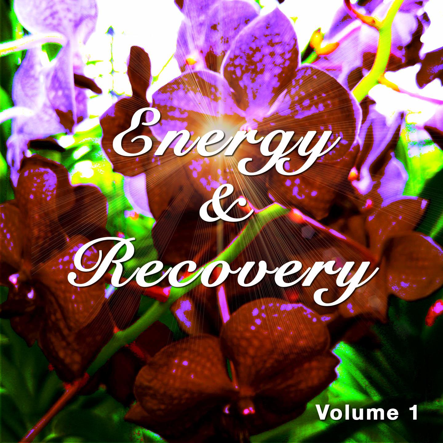 Постер альбома Energy & Recovery, Vol. 1