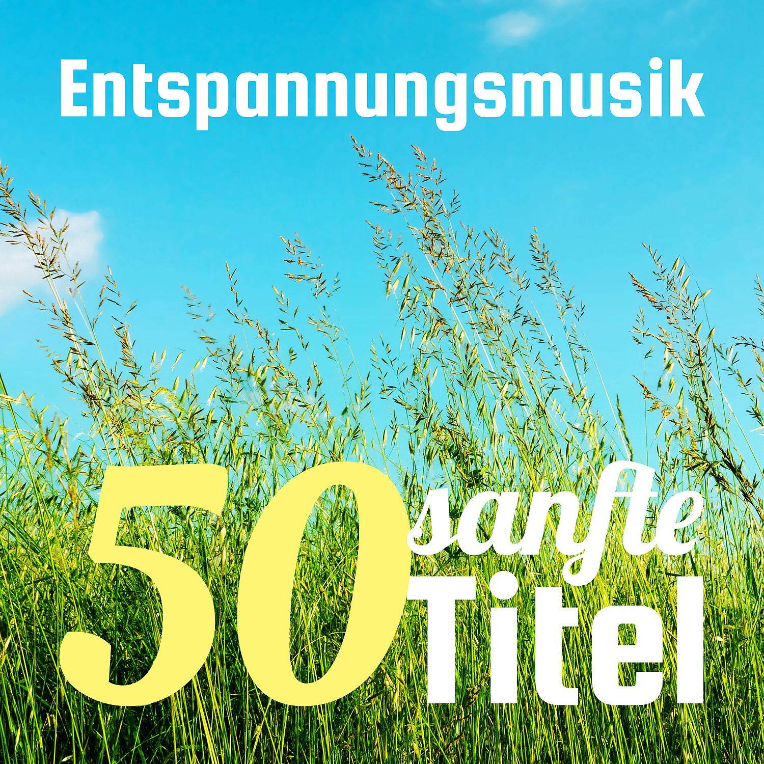 Постер альбома Entspannungsmusik 50 sanfte Titel