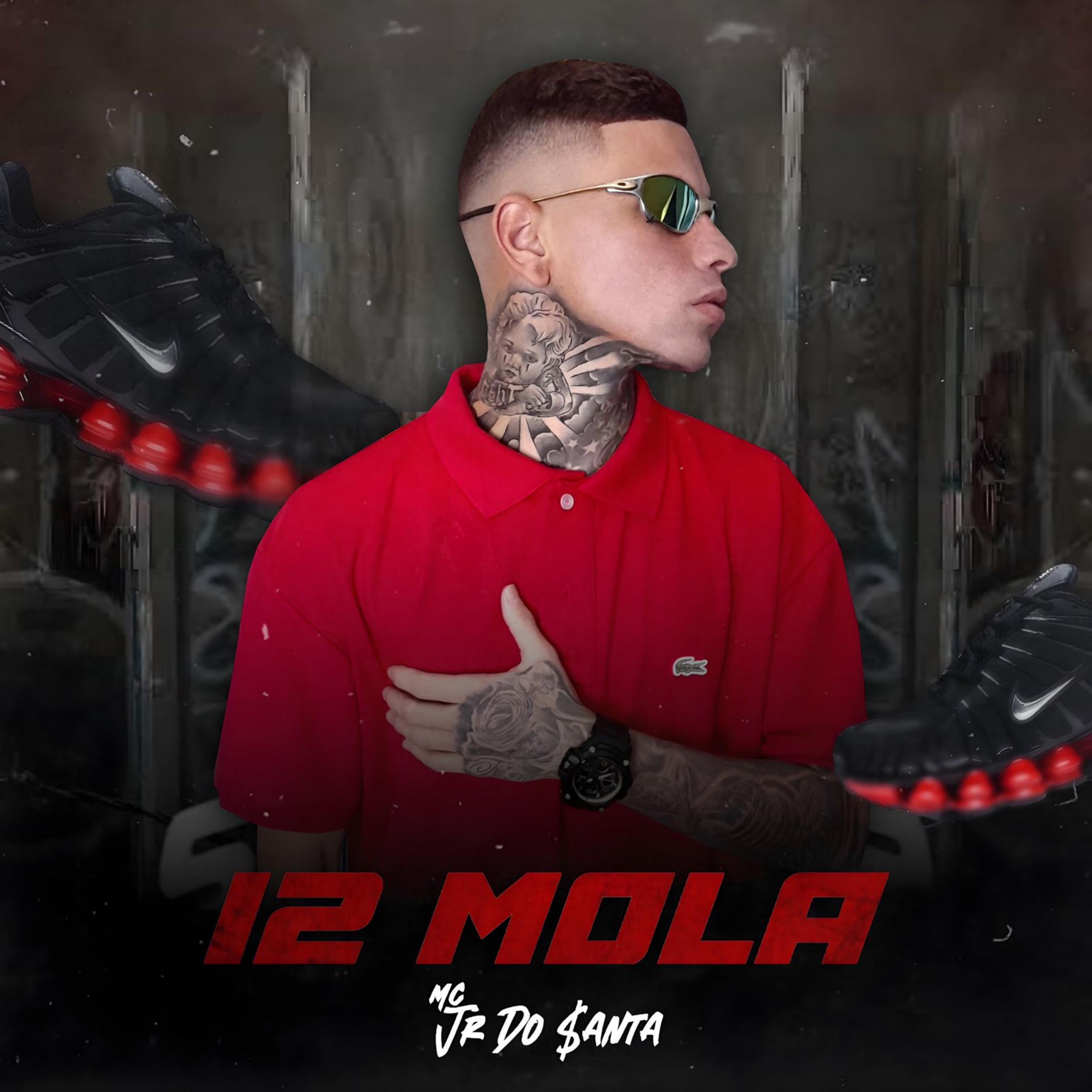 Постер альбома 12 Mola