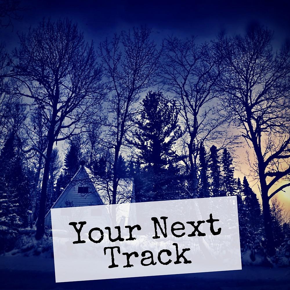 Постер альбома Your Next Track, Vol. 8