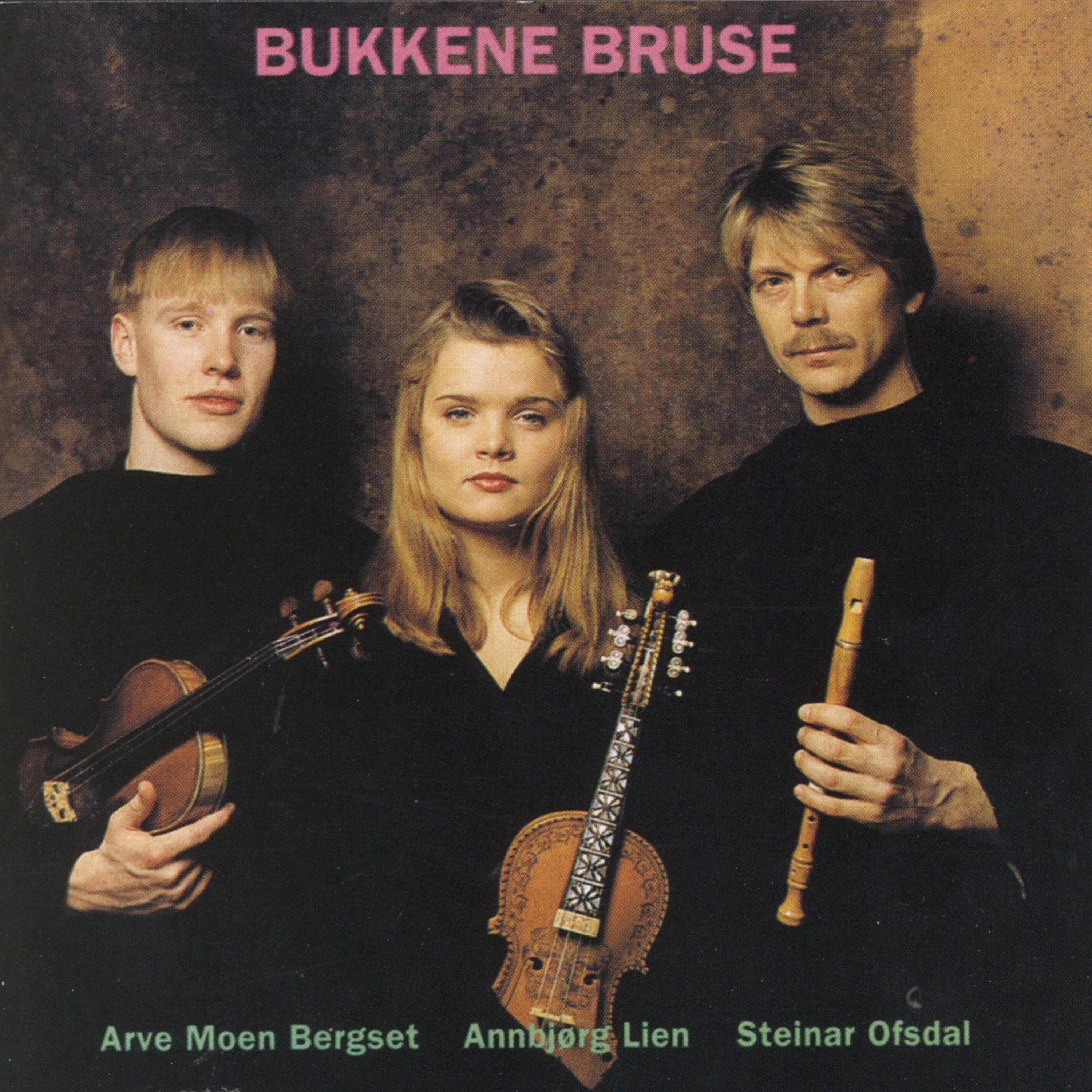 Постер альбома Bukkene Bruse