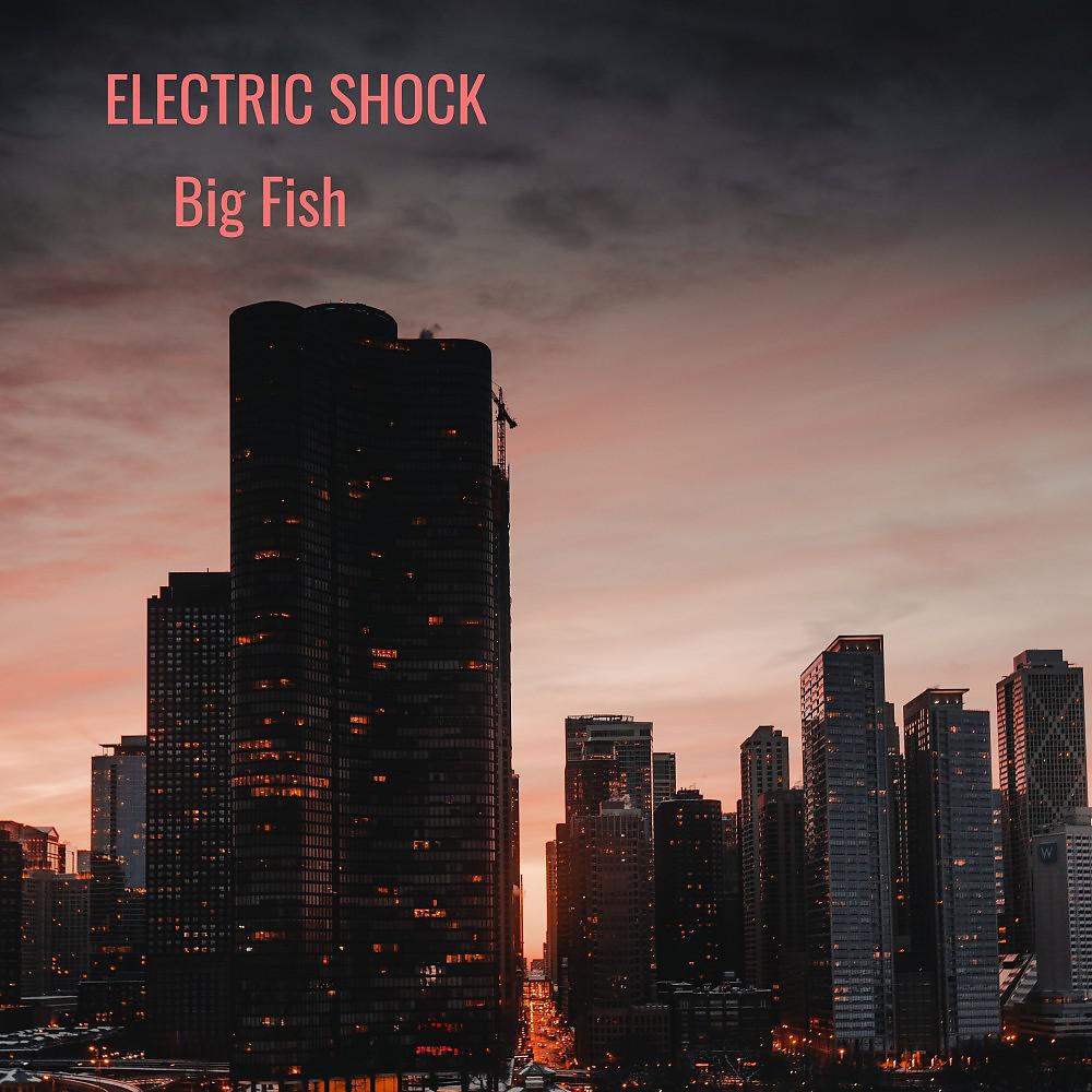 Постер альбома Electric Shock