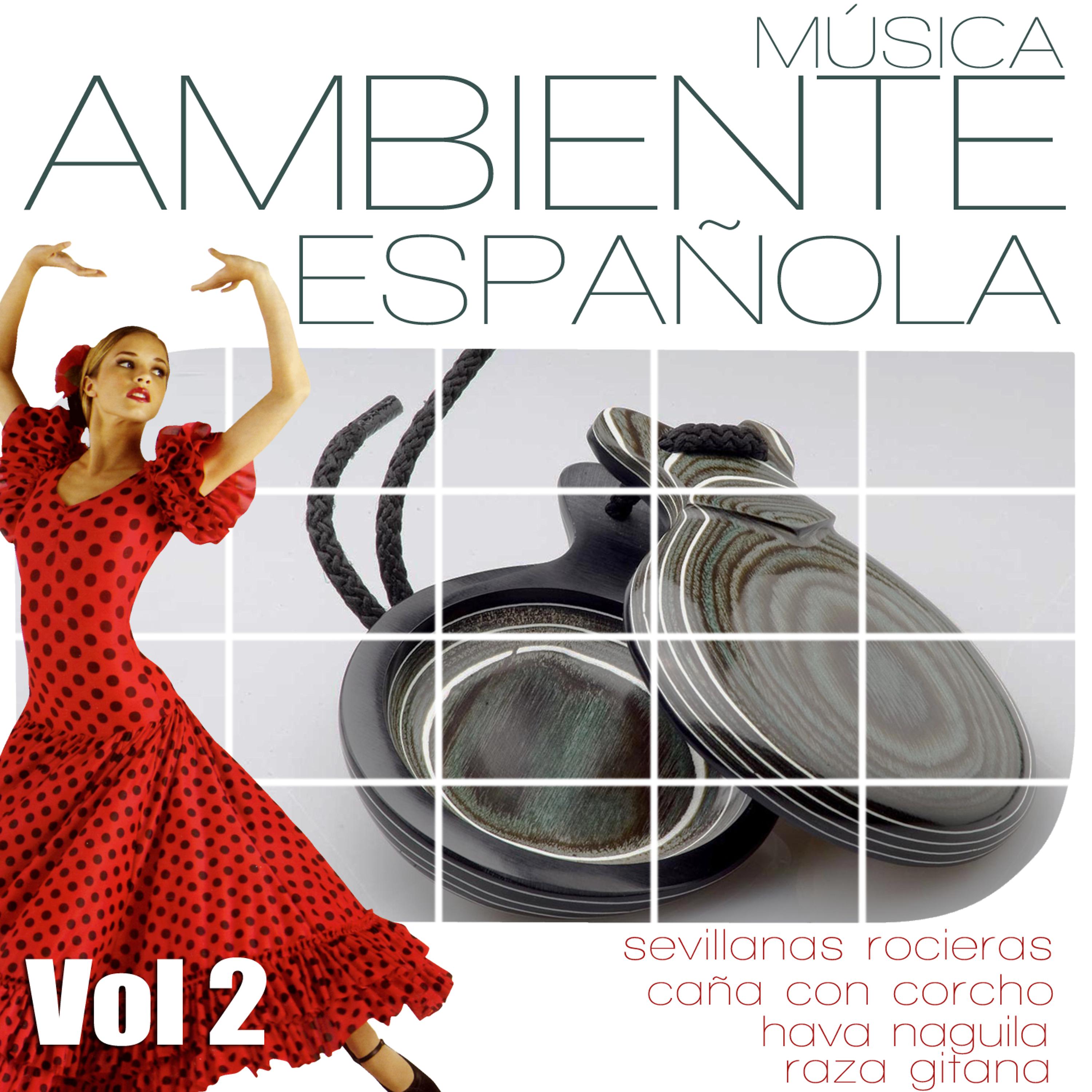 Постер альбома Musica Ambiente Española. Flauta, Guitarra y Compas Flamenco  vol 2