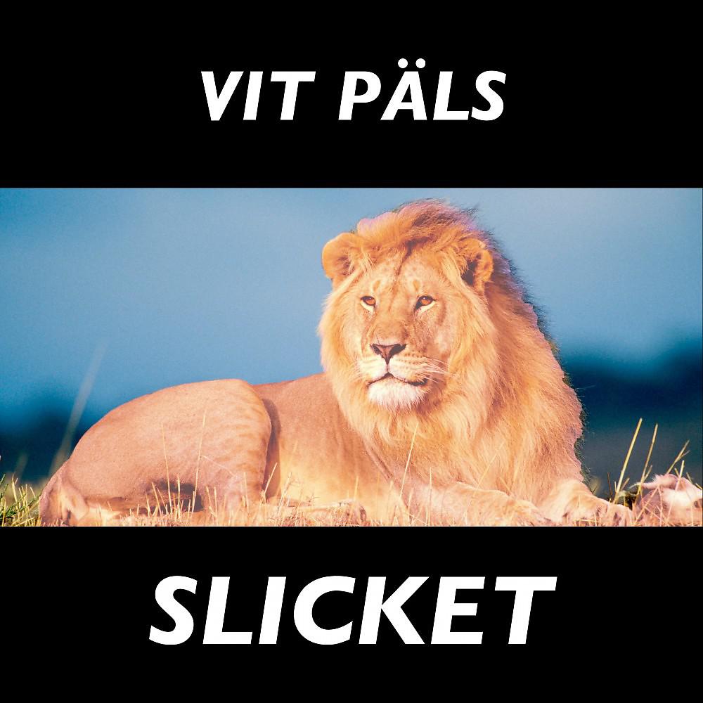 Постер альбома Slicket