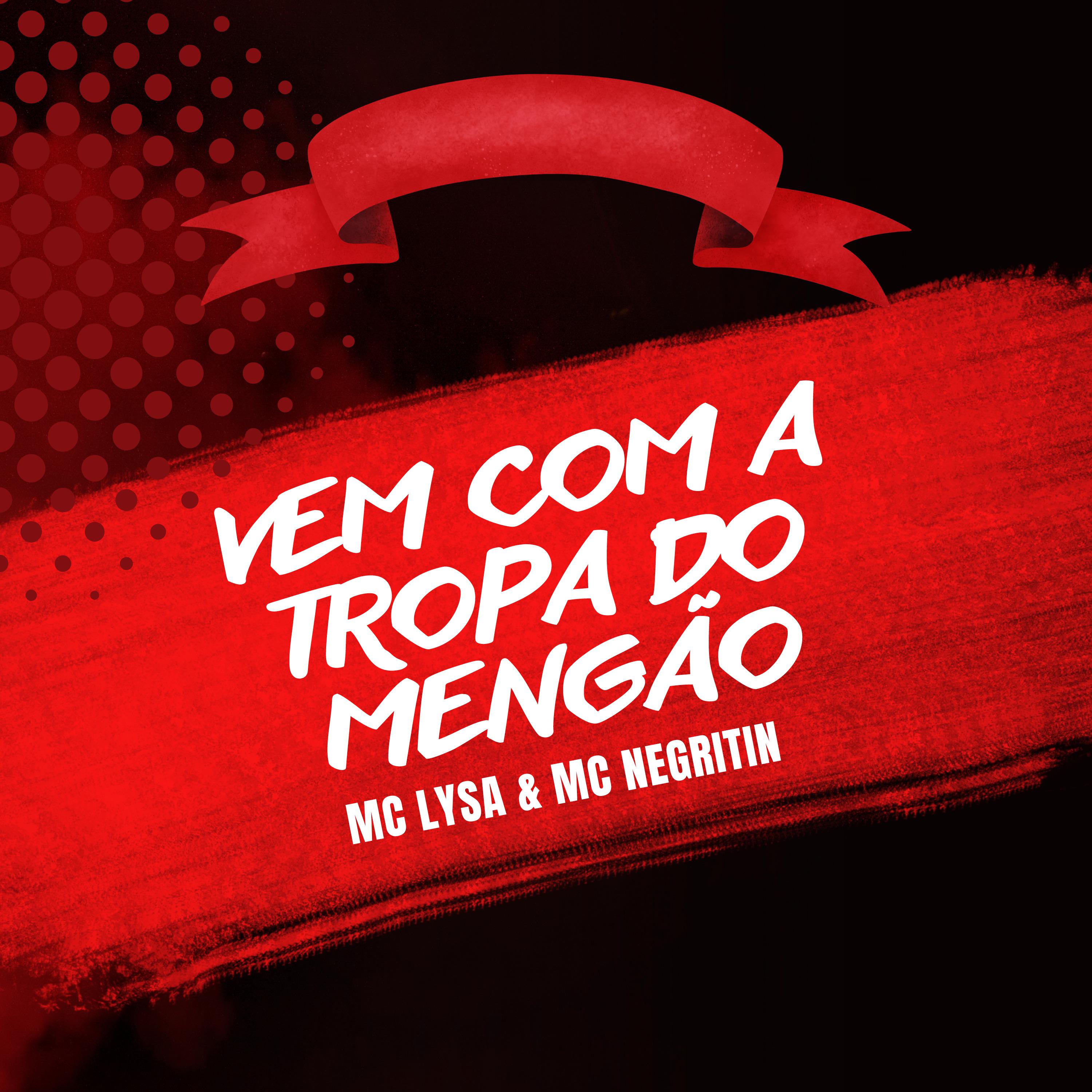 Постер альбома Vem Com a Tropa do Mengão