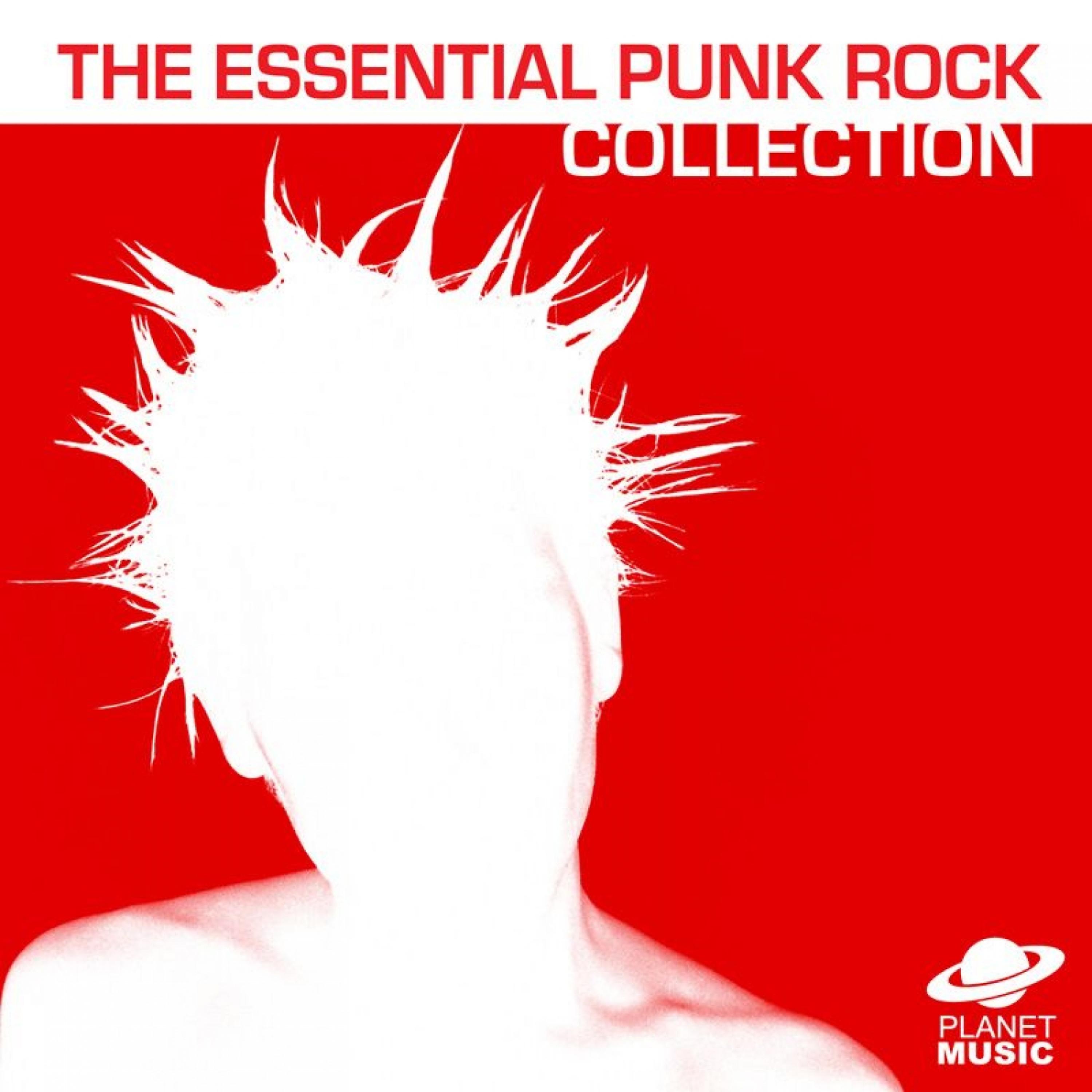 Постер альбома The Essential Punk Rock Collection