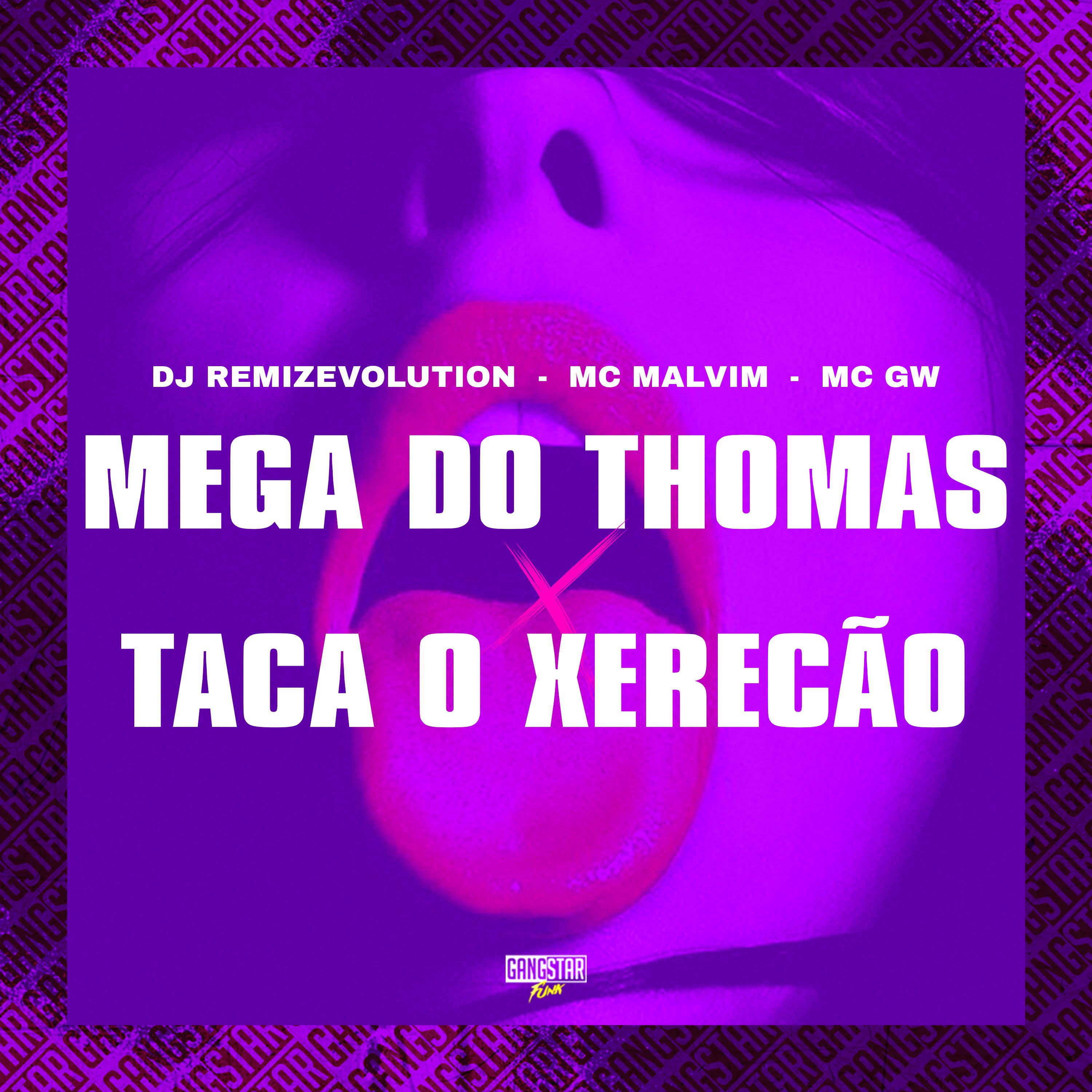Постер альбома Mega do Thomas X Taca o Xerecão