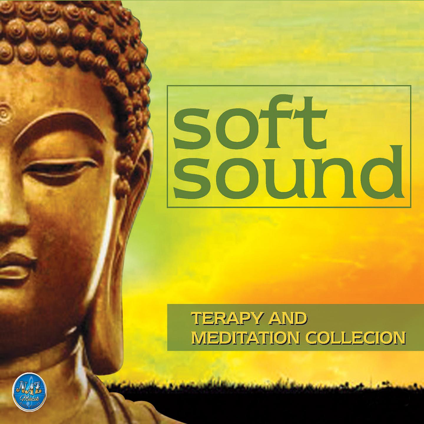 Постер альбома Soft Sound