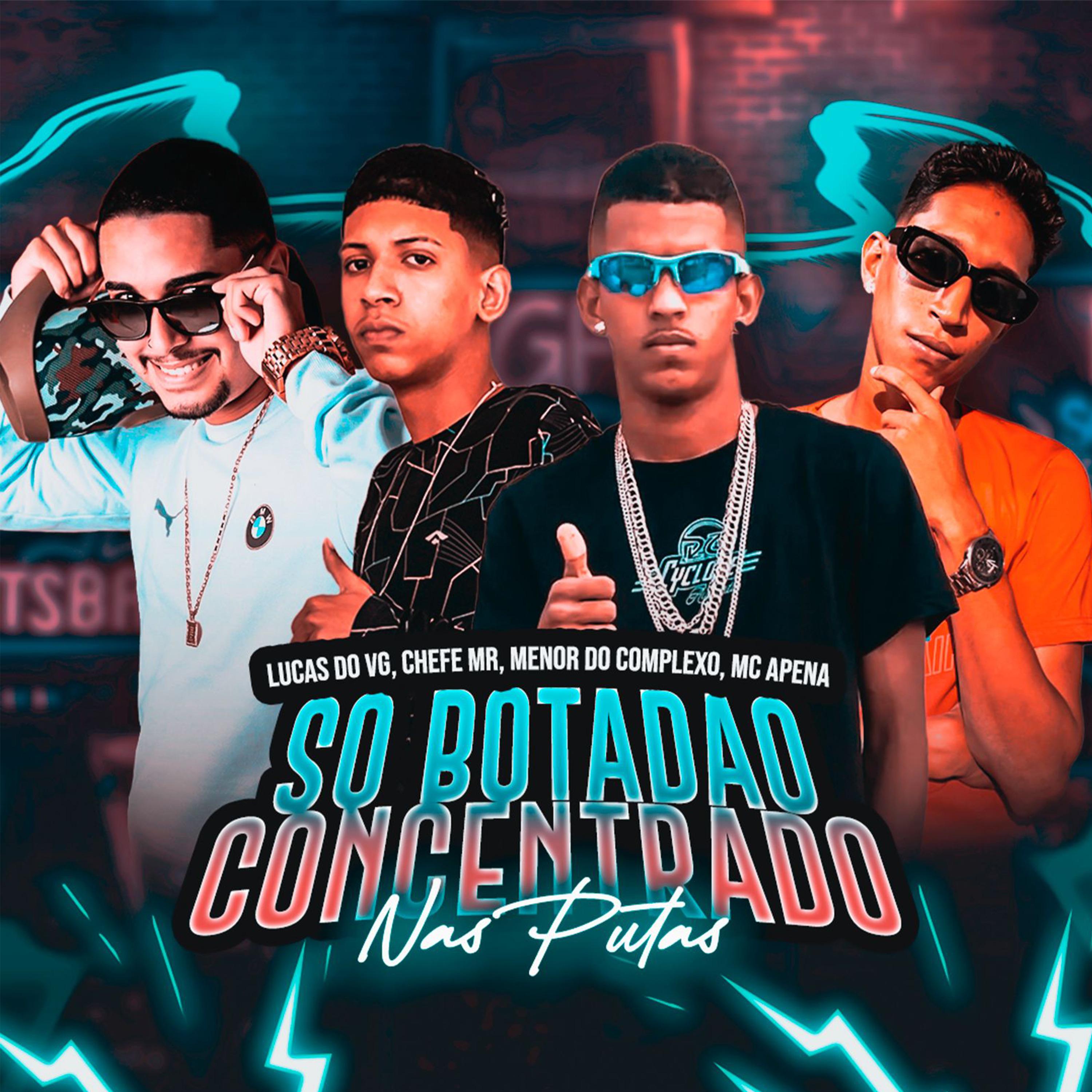 Постер альбома Só Botadão Concentrado nas Putas
