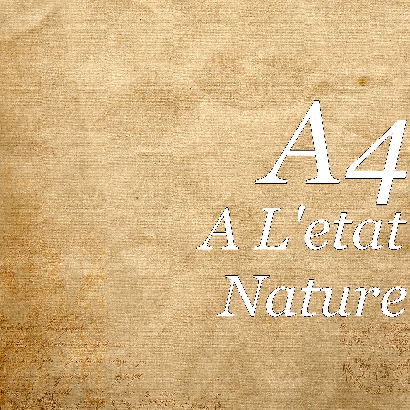 Постер альбома A L'etat Nature