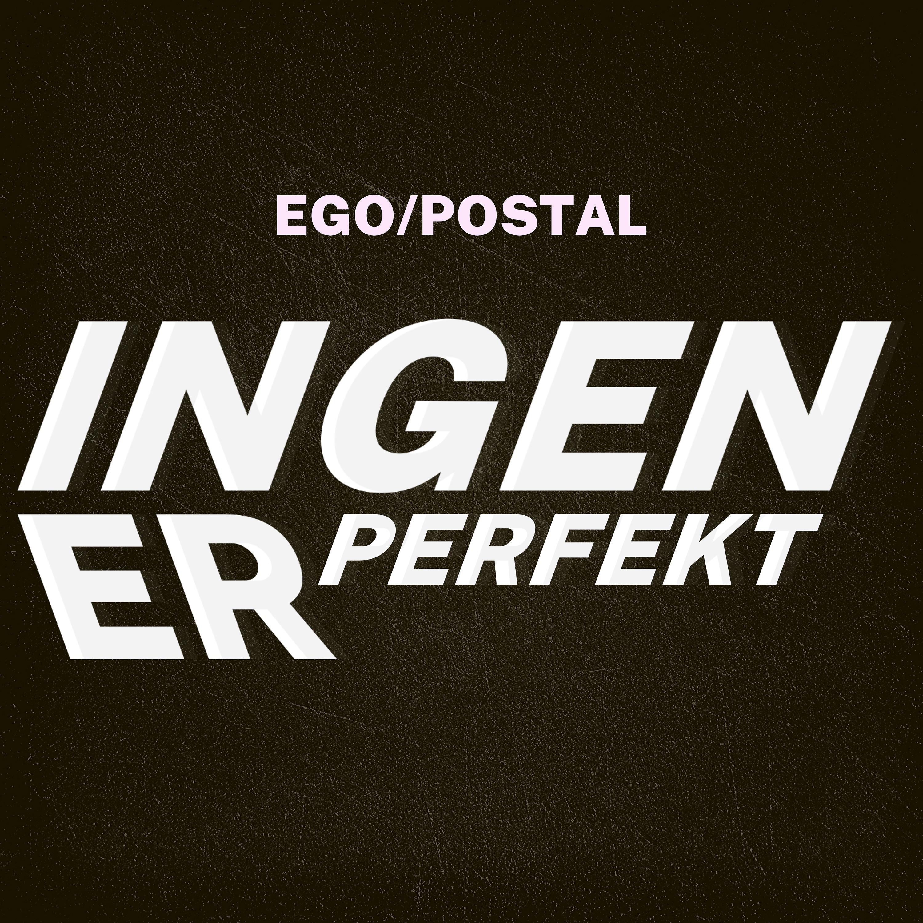 Постер альбома Ingen Er Perfekt