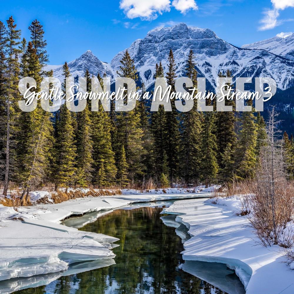 Постер альбома Sound Asleep: Gentle Snowmelt in a Mountain Stream 3