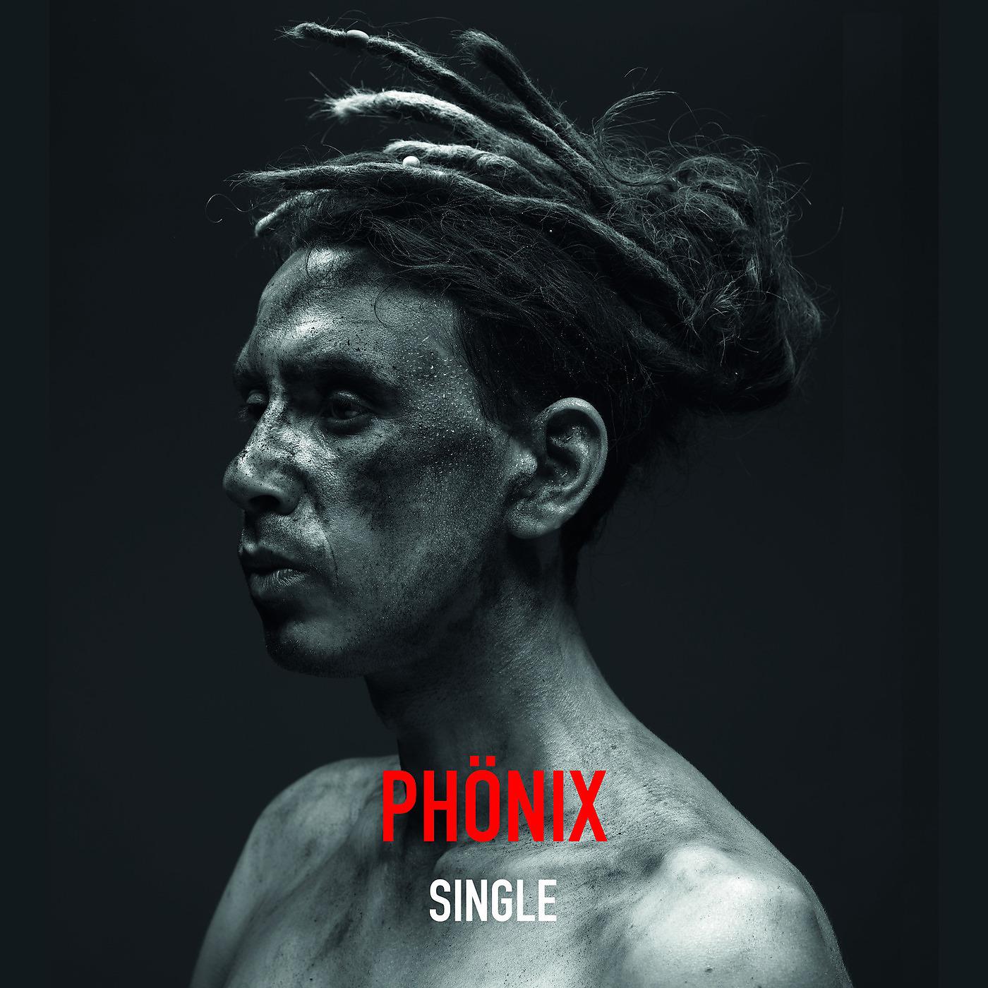 Постер альбома Phönix