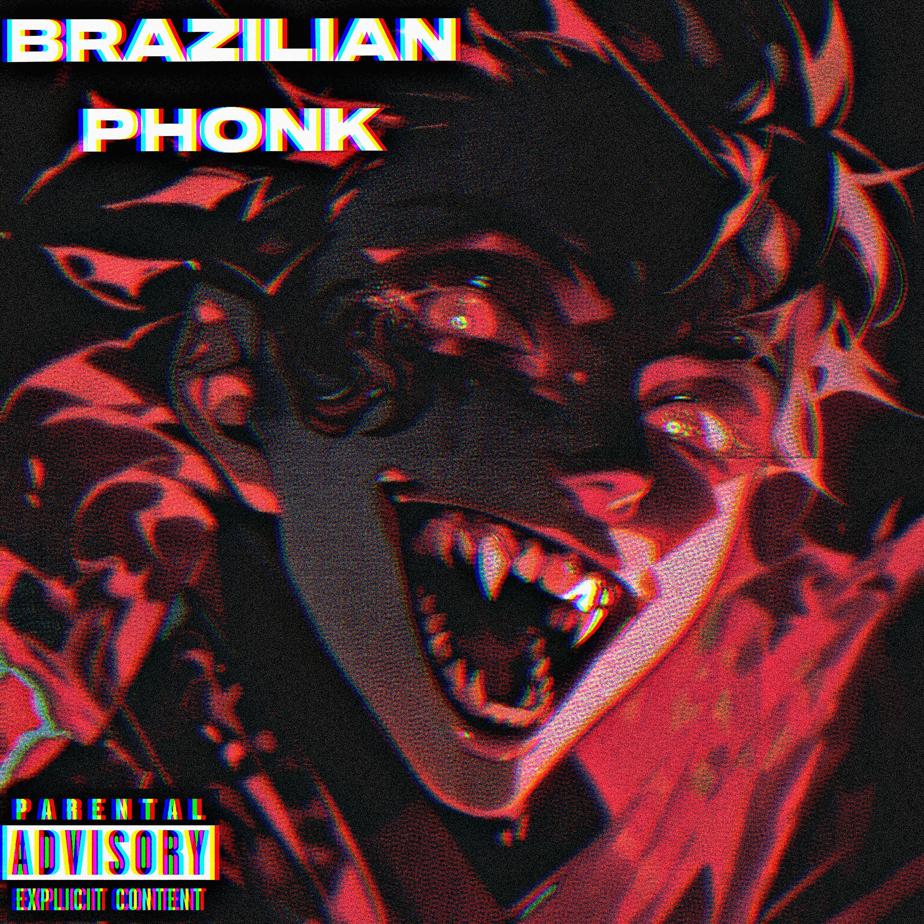 Постер альбома Brazilian Phonk