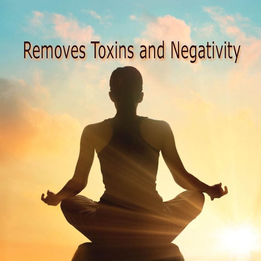 Постер альбома Removes Toxins and Negativity
