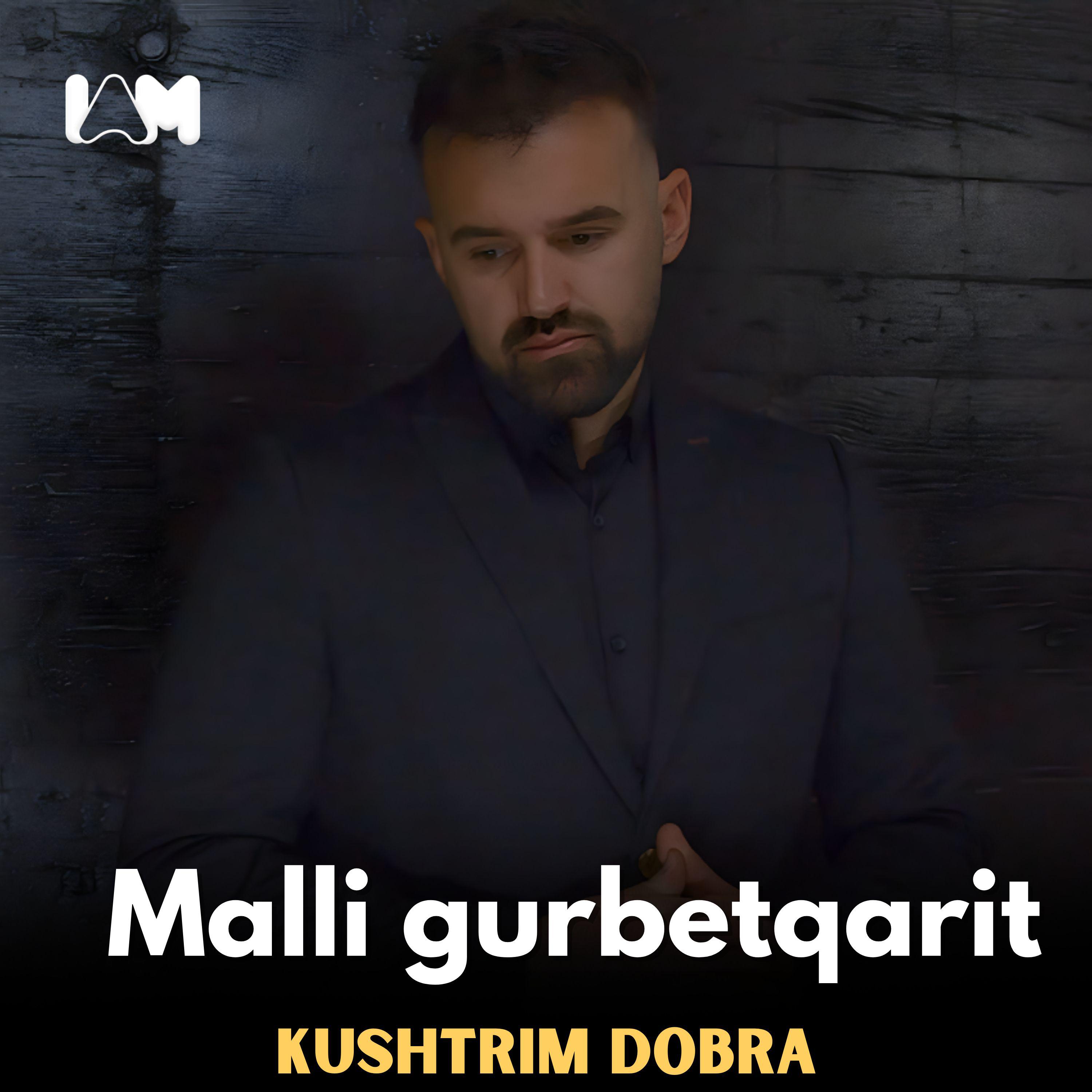 Постер альбома Malli gurbetqarit