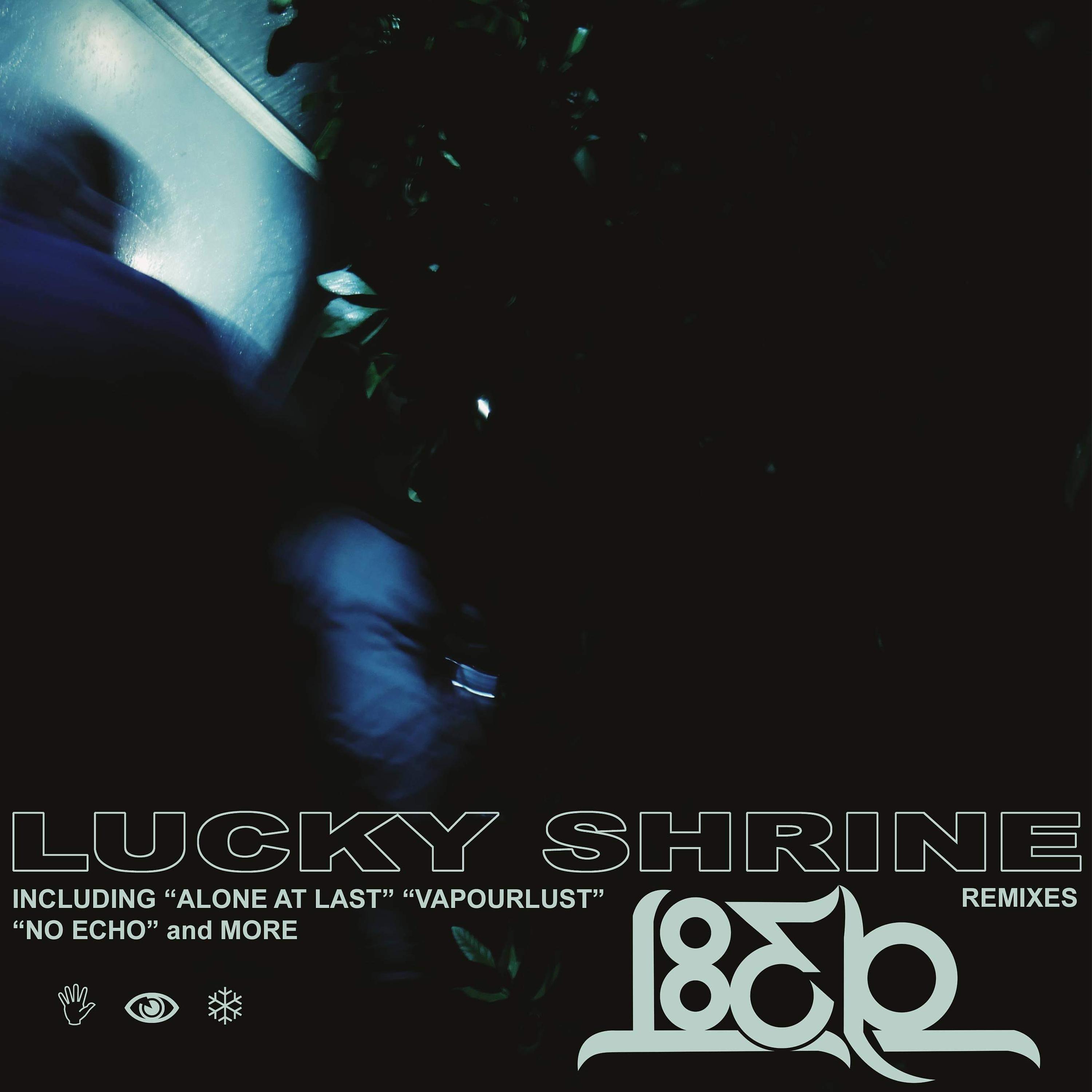 Постер альбома No Echo (Lucky Shrine Remix)