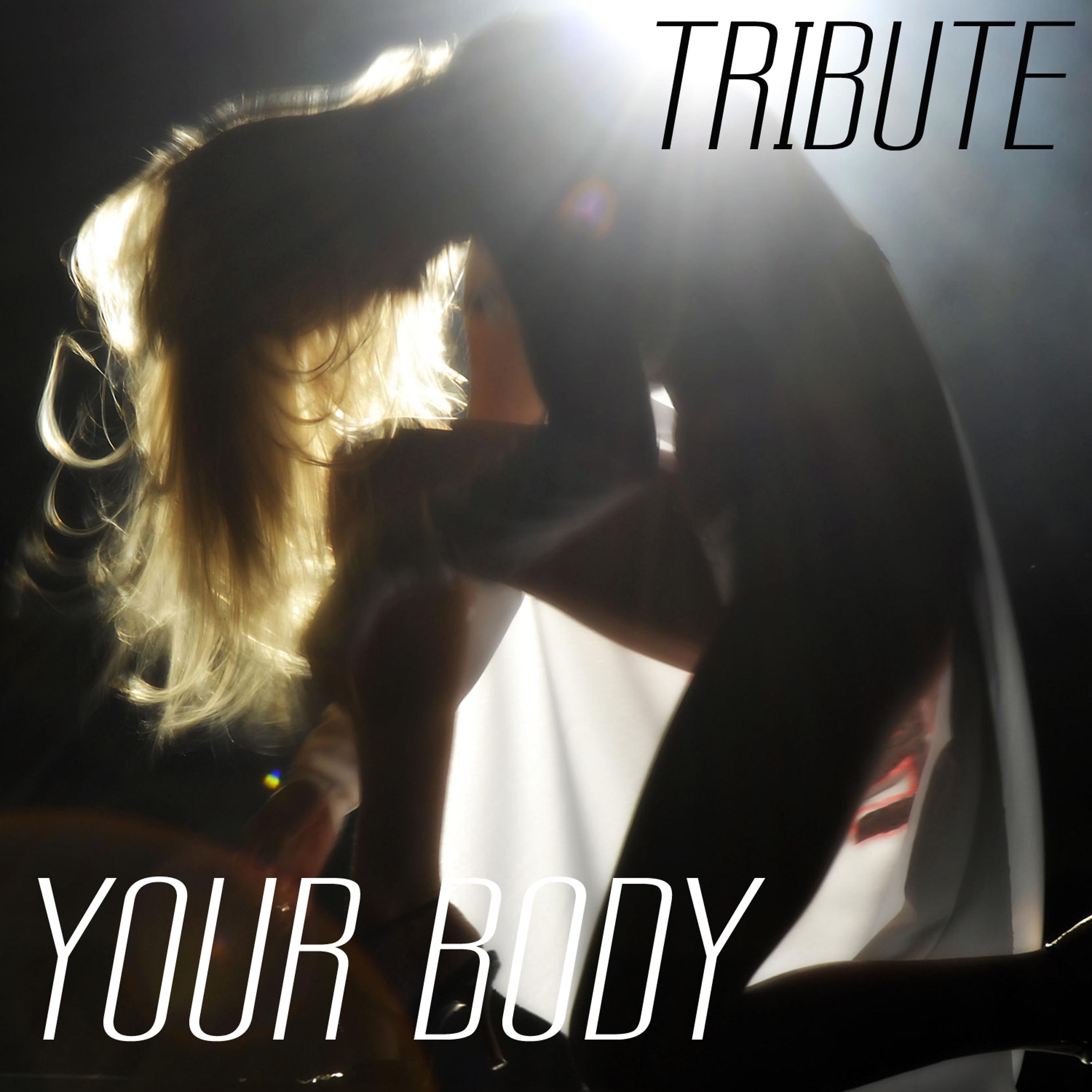 Постер альбома Your Body (Tribute to Christina Aguilera)