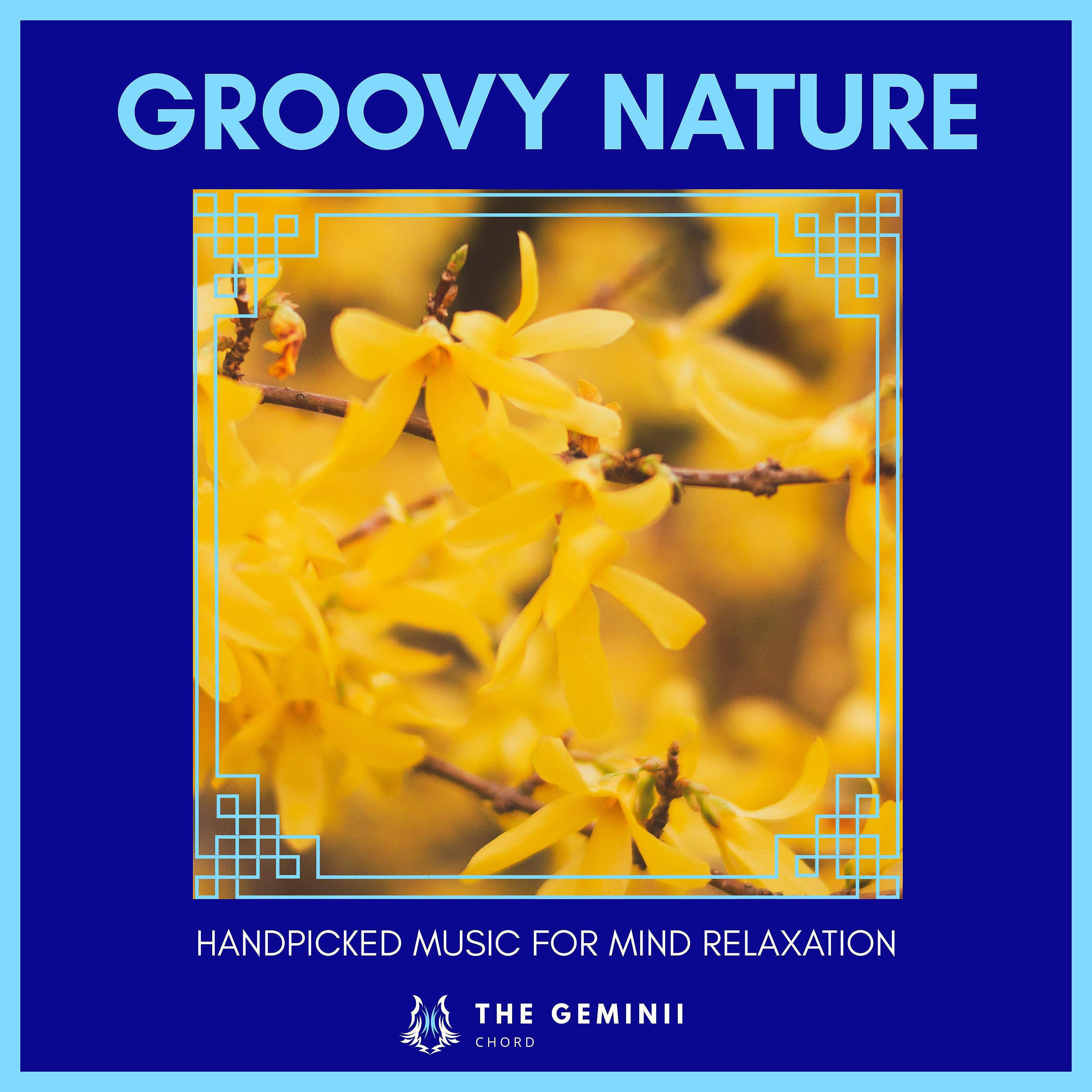 Постер альбома Groovy Nature - Handpicked Music For Mind Relaxation