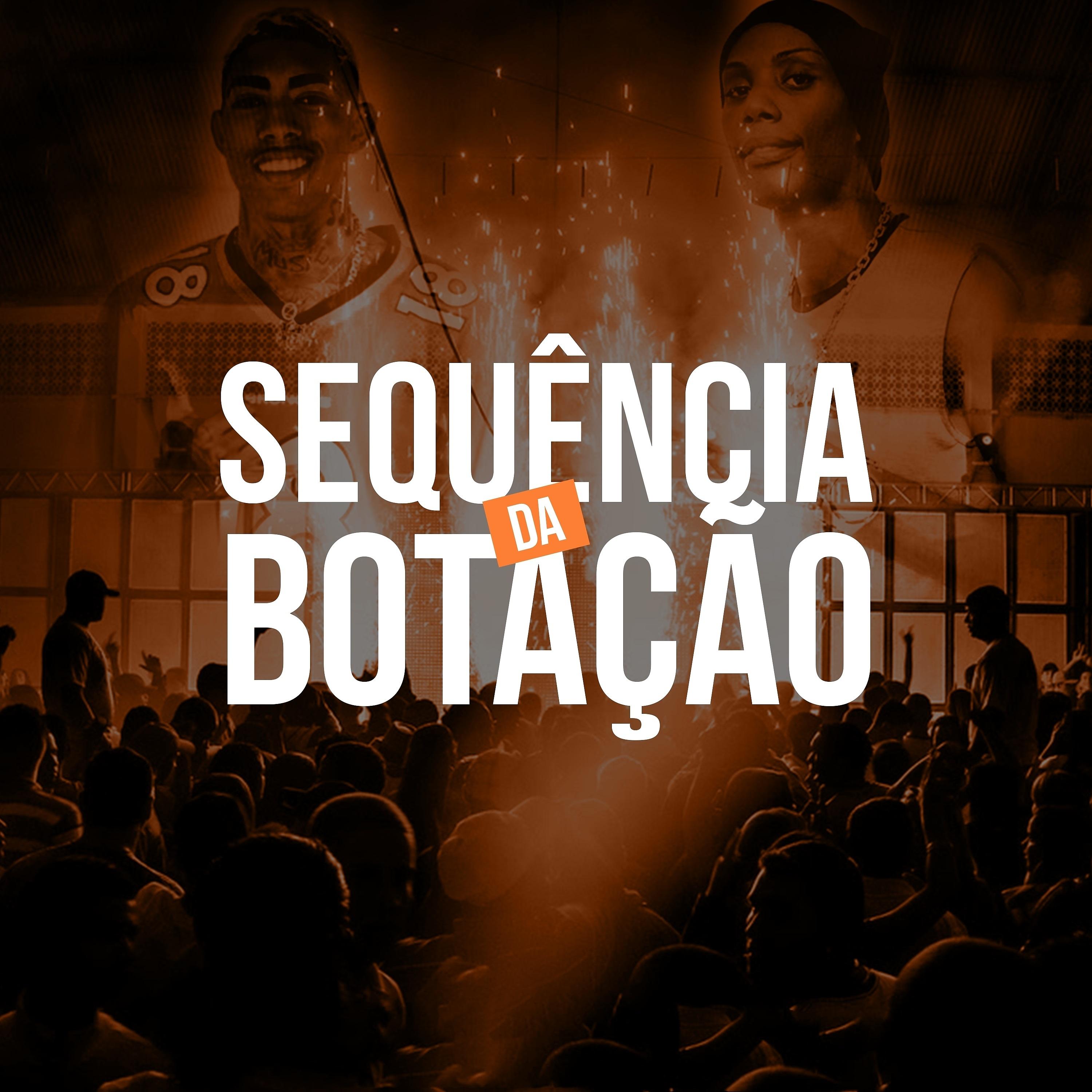 Постер альбома Sequencia da Botação