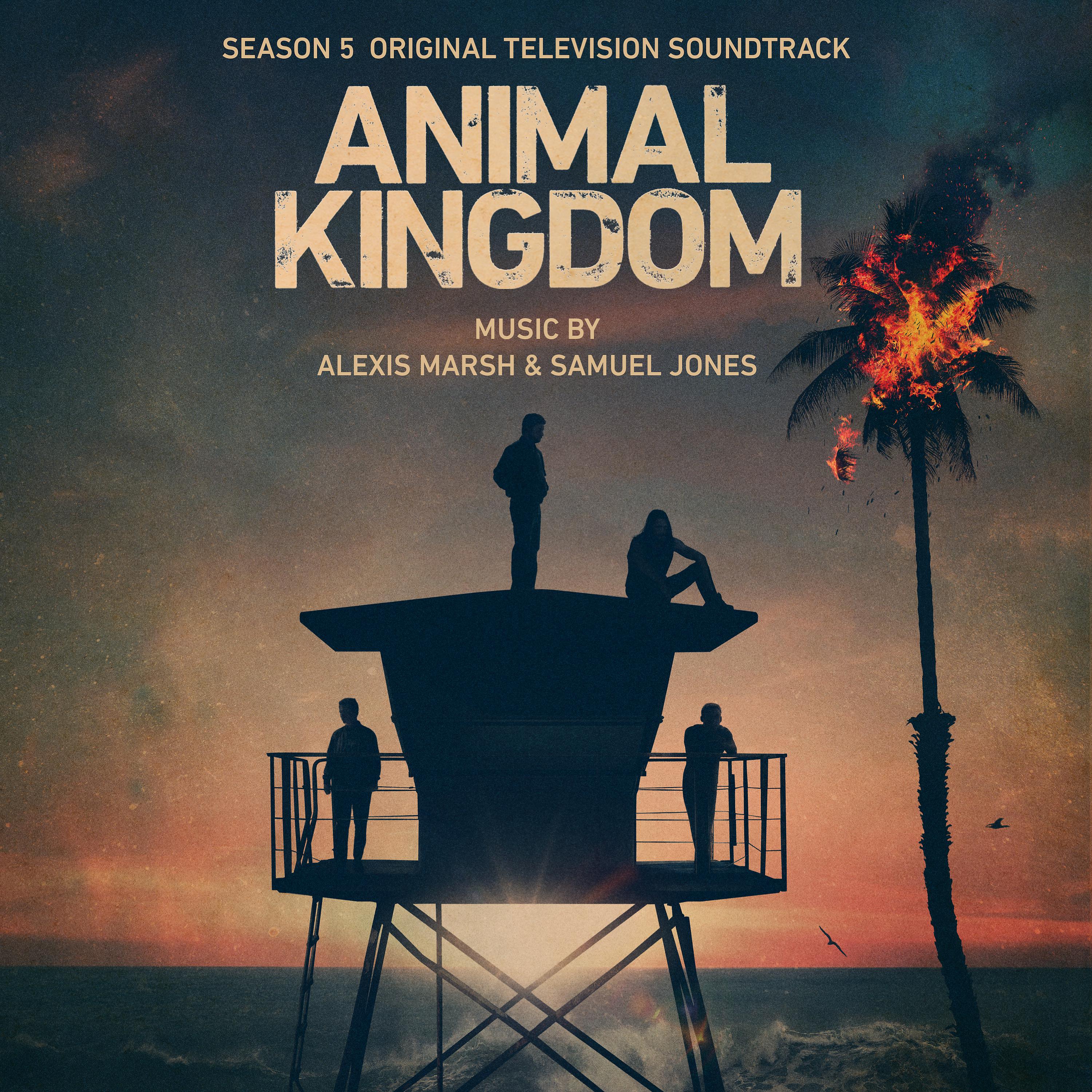 Постер альбома Animal Kingdom: Season 5 (Original Television Soundtrack)