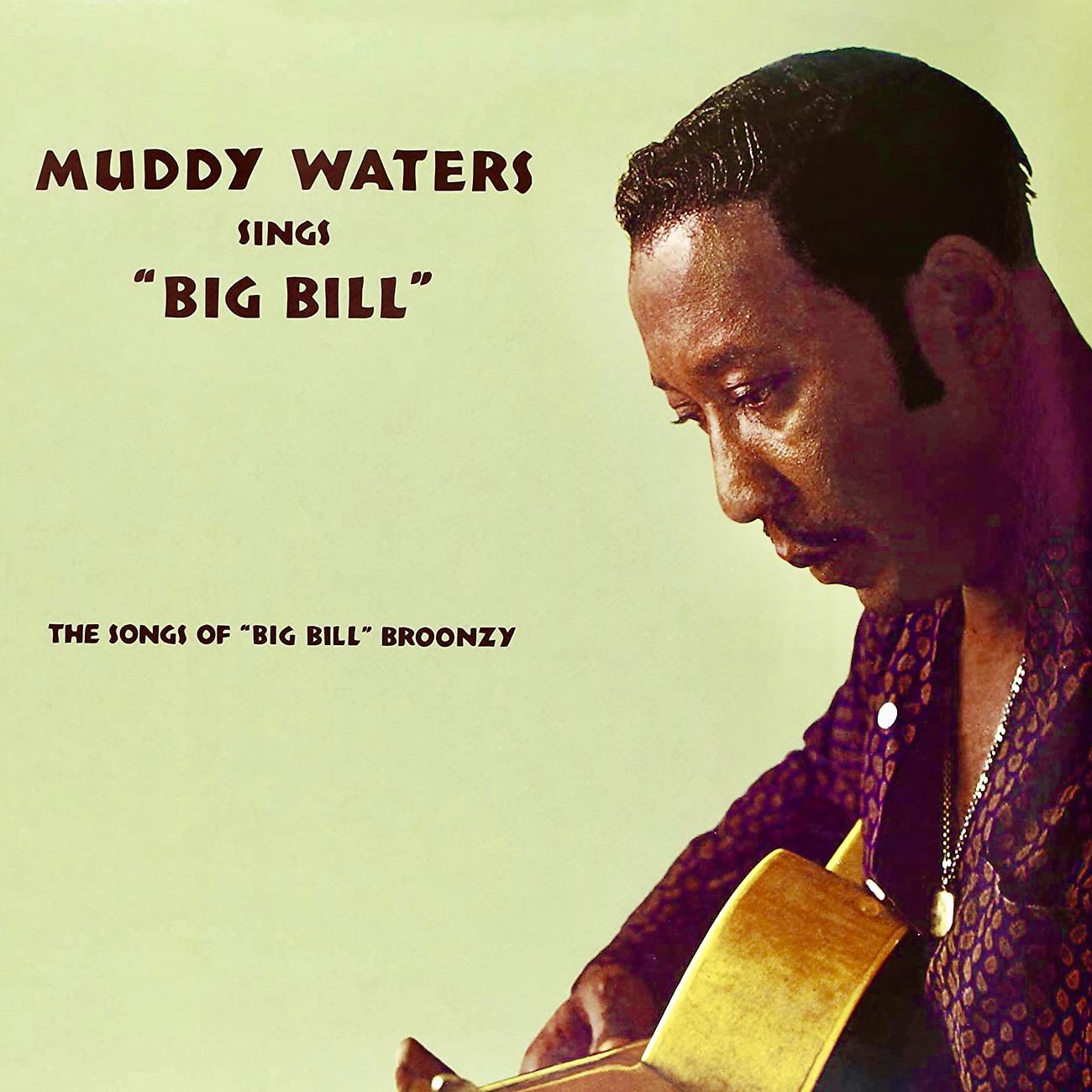 Постер альбома Muddy Waters Sings Big Bill Broonzy