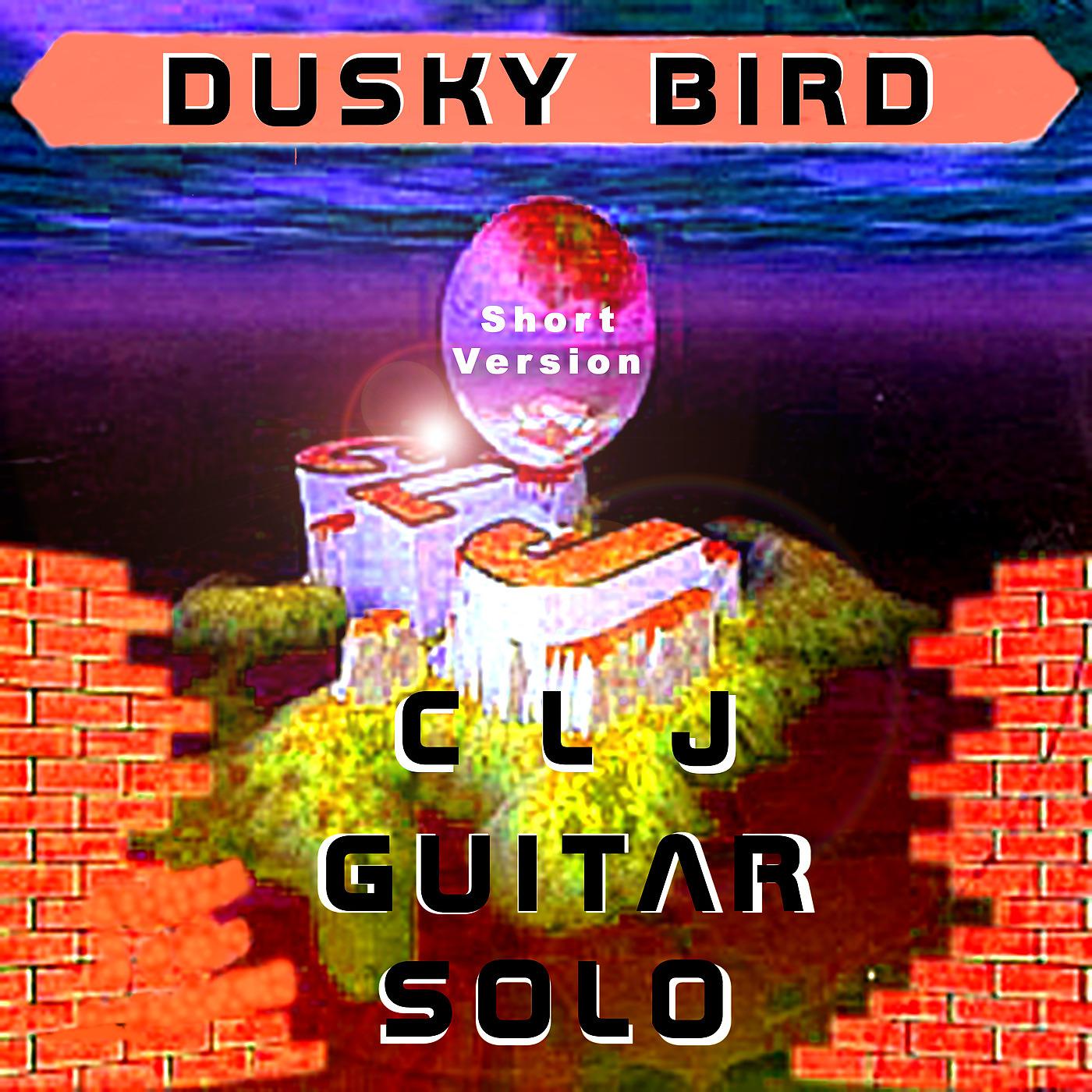 Постер альбома C L J Guitar Solo (Short Version)