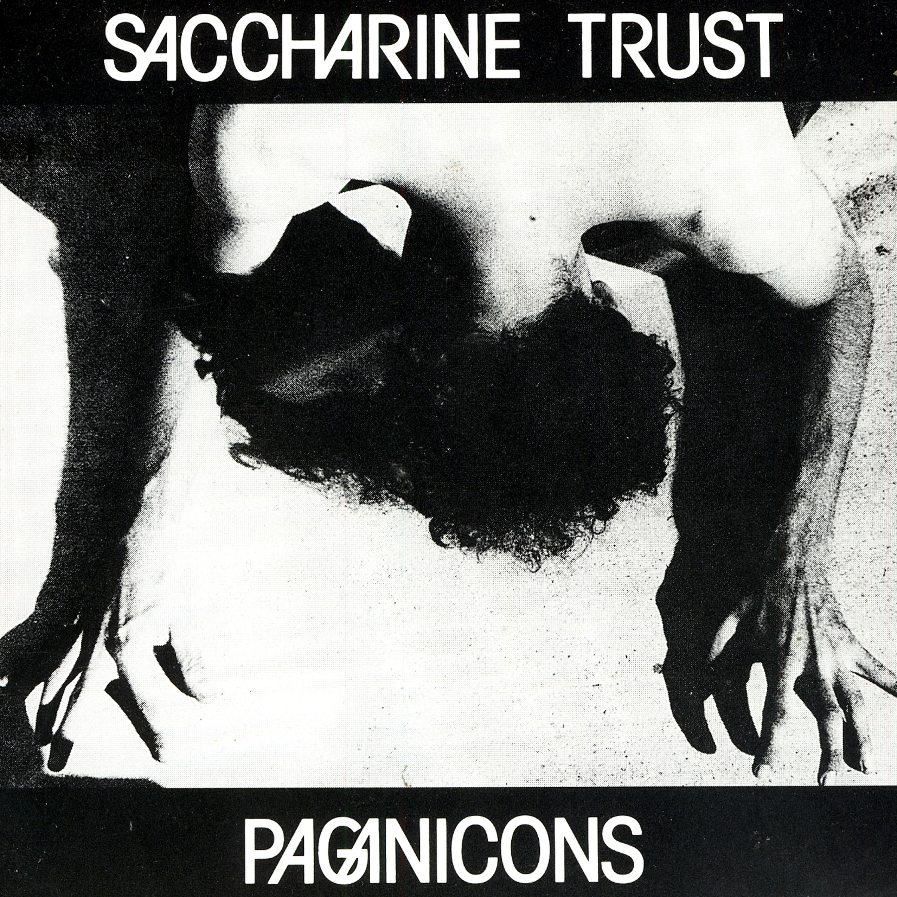 Постер альбома Paganicons