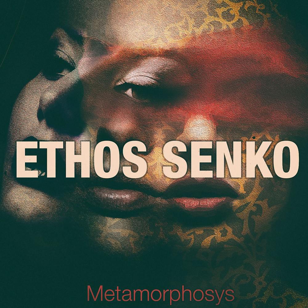 Постер альбома Metamorphosys