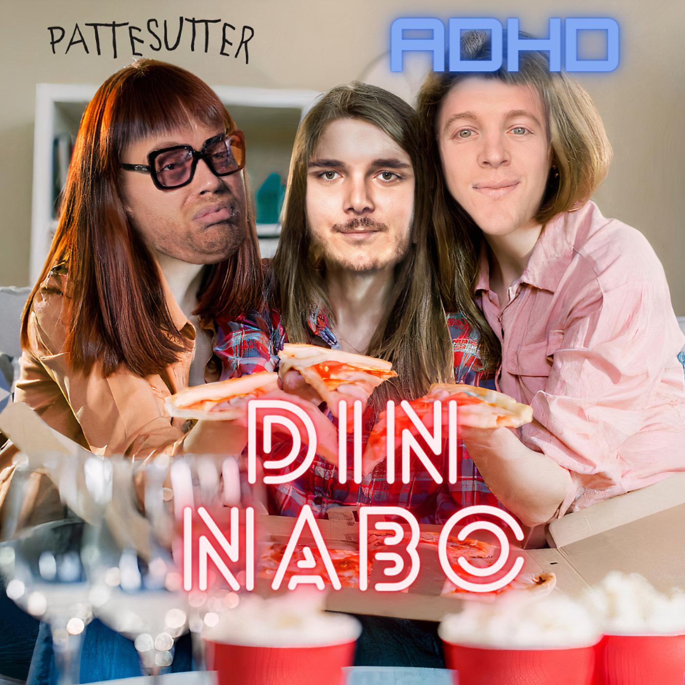 Постер альбома Din Nabo