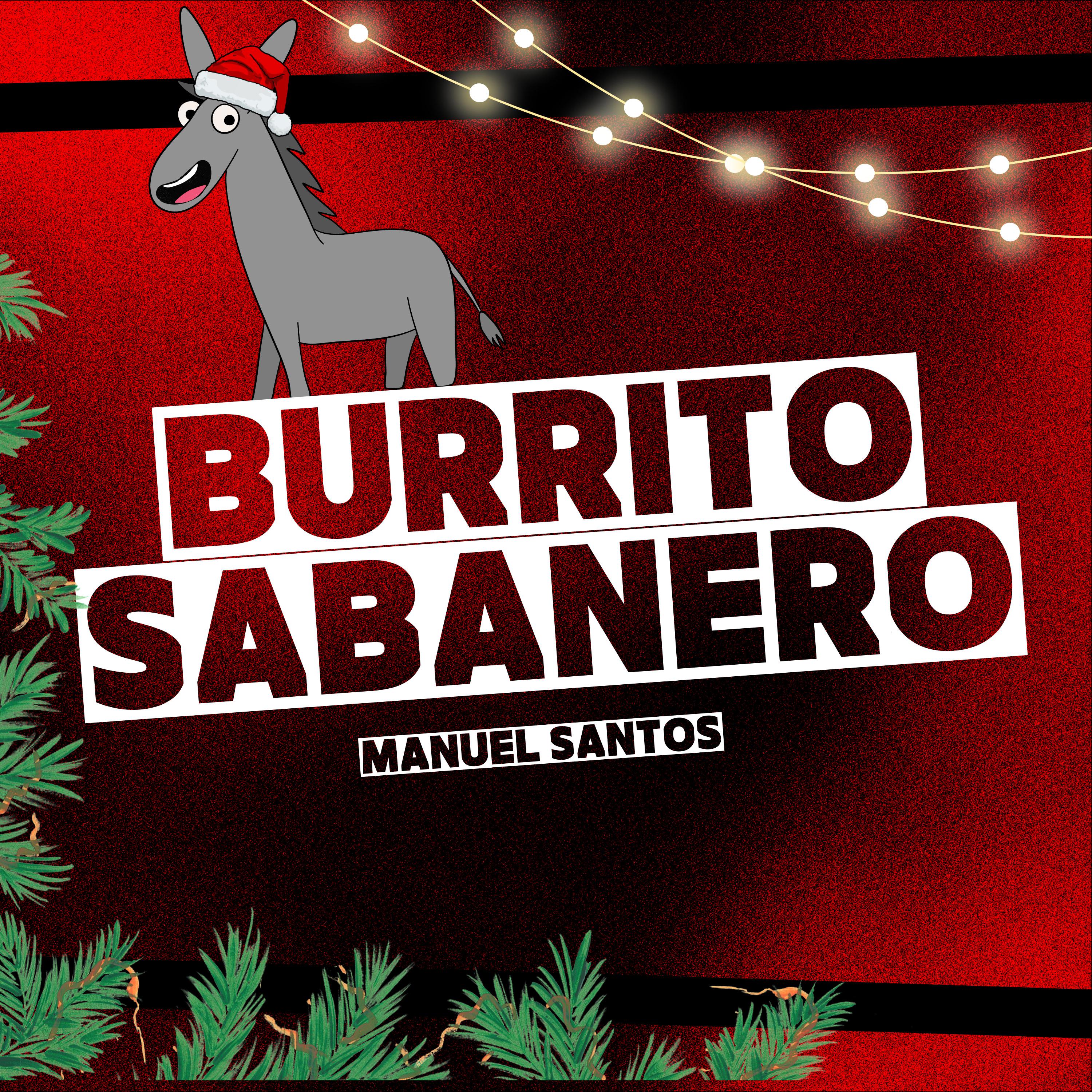Постер альбома Burrito Sabanero