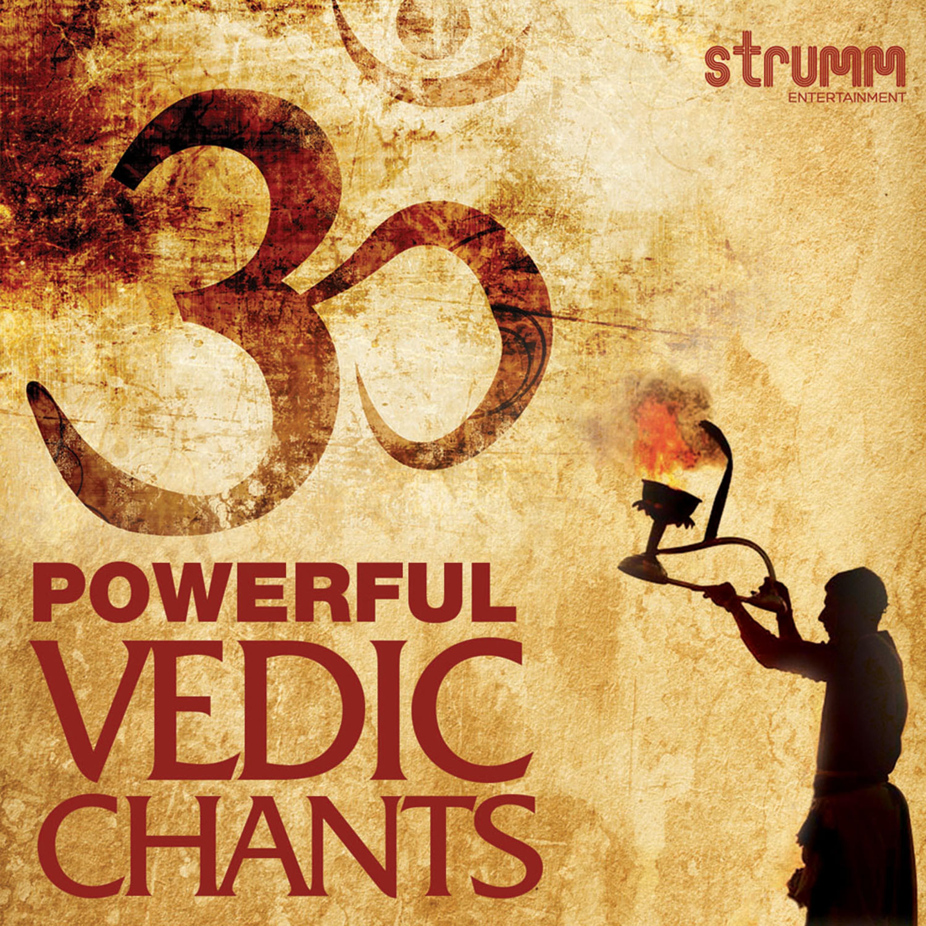 Постер альбома Powerful Vedic Chants
