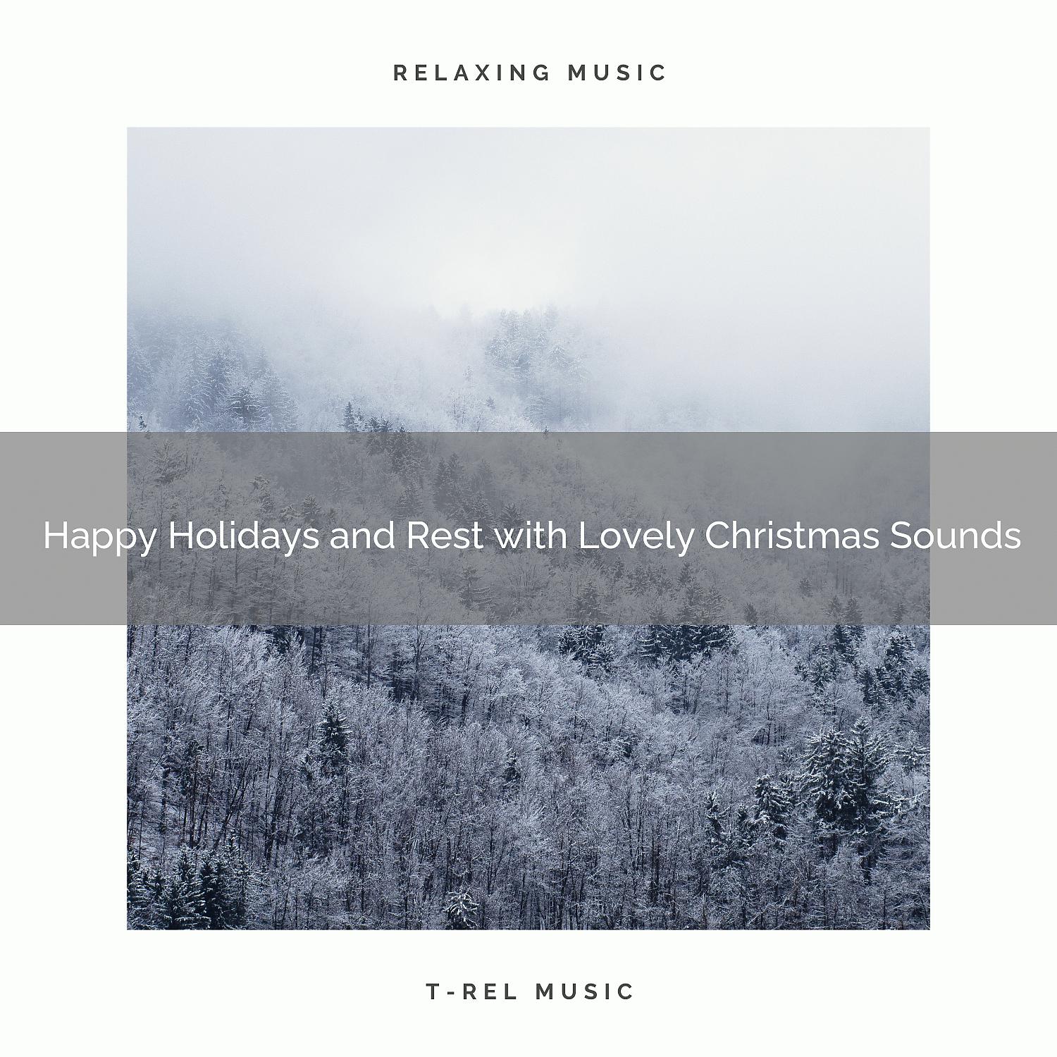 Постер альбома Happy Holidays and Rest with Lovely Christmas Sounds